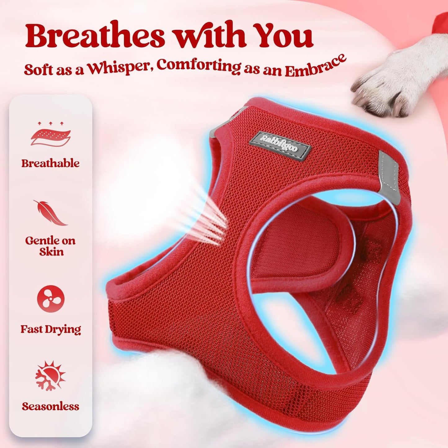 rabbitgoo Dog Harness Small Sized and Leash Set, Step in Soft Light Puppy Vest, Breathable Mesh Pet Harness, Reflective for Safe Easy Walking, Red XS