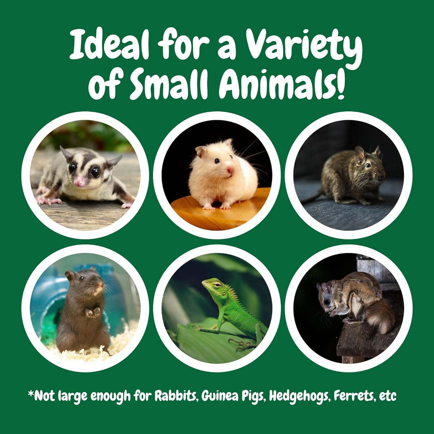 Exotic Nutrition Economy Carry Bonding Pouch (Grey) - for Sugar Gliders, Squirrels, Marmosets, Hamsters, Rodents, Rats, Reptiles, & Other Small Pets…