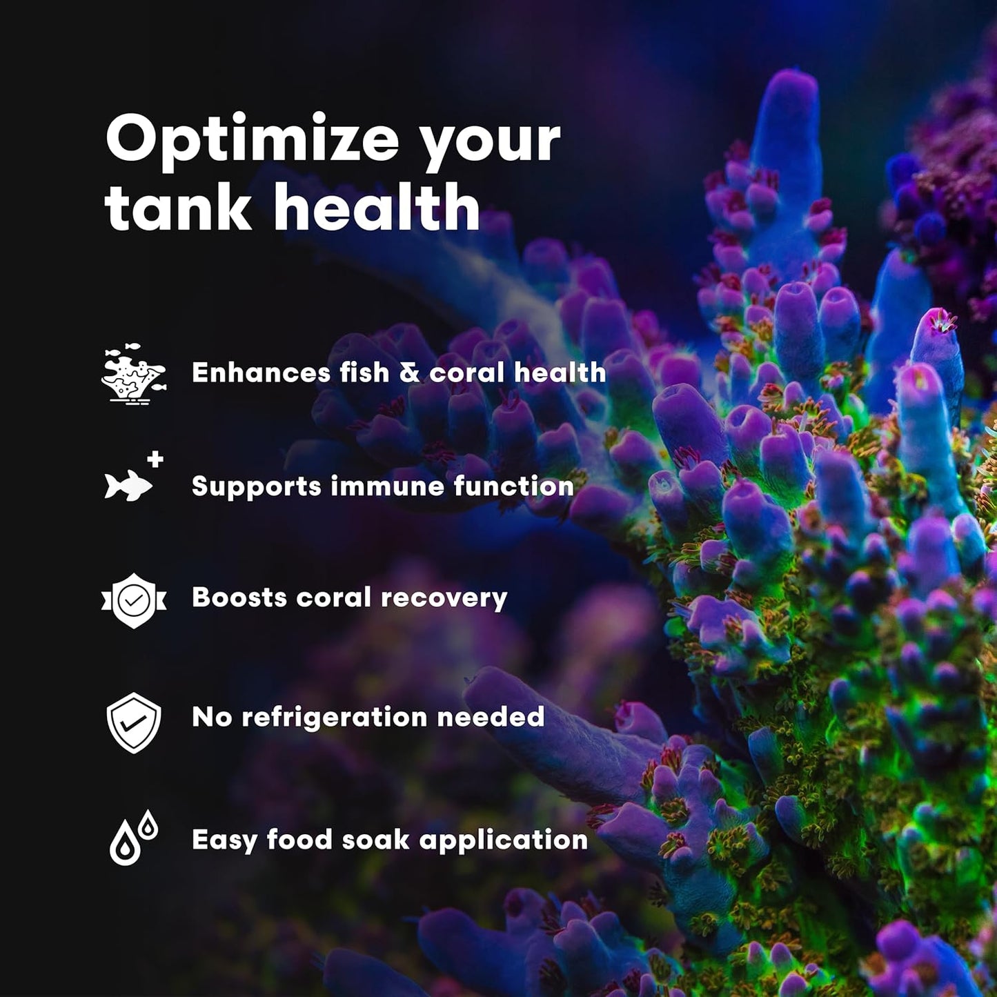 Brightwell Aquatics Vitamarin-M – Complete Vitamin Supplement for Marine Fish, Corals & Invertebrates – Supports Growth, Color & Immune Health – No Refrigeration, 2L