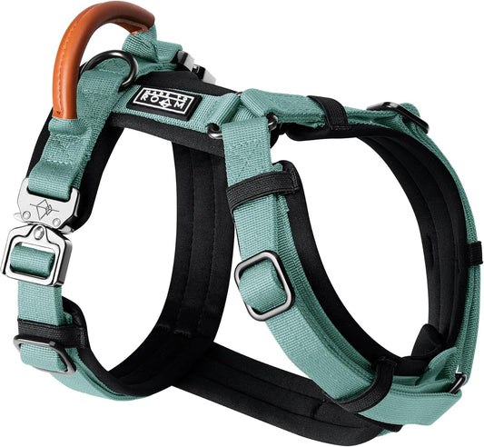MADE TO ROAM Premium Explorer Harness - Y-Shaped Dog Harness with Adjustable Durable Nylon, Soft Padding, Metal Buckles and Leather Handle for Small, Medium, Large Dogs (Florida Seaside, Size 6)