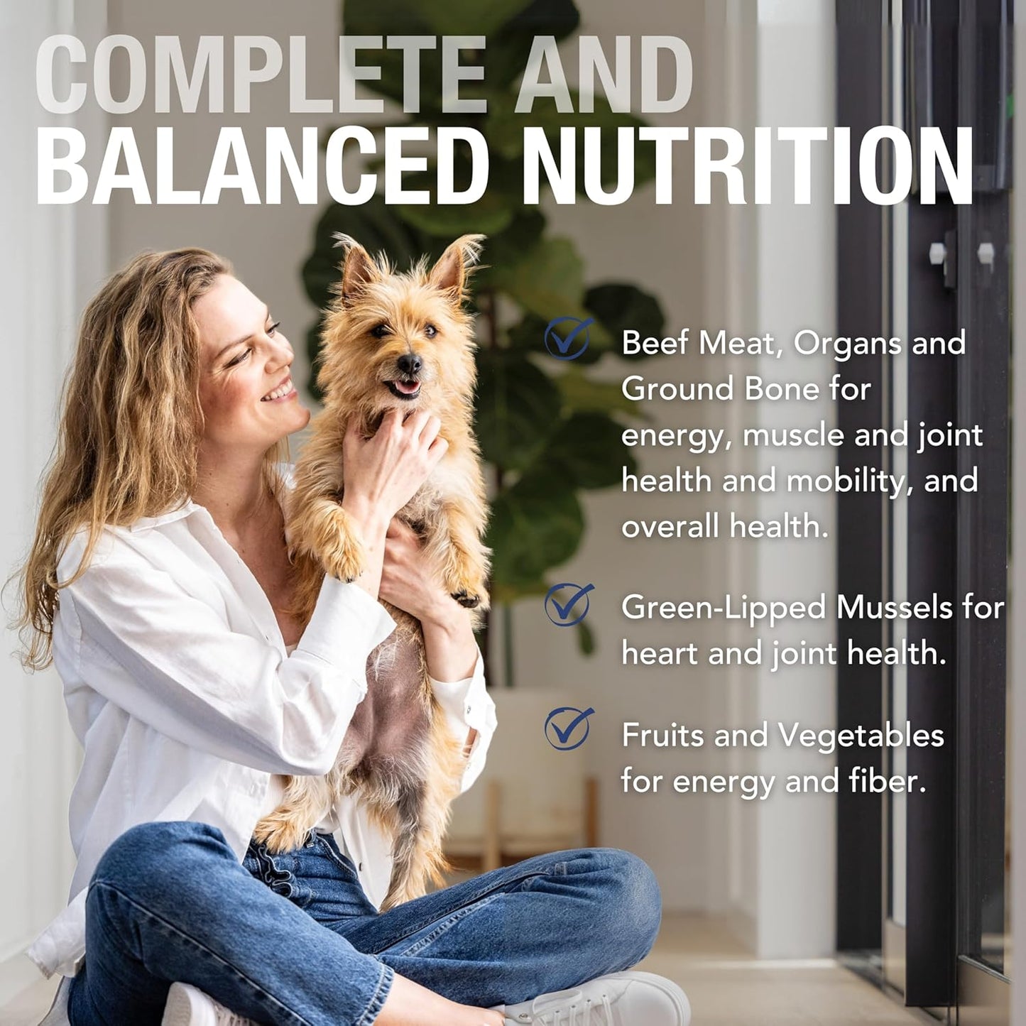 K9 Natural Wet Dog Food Pate, Beef Feast, 6 Oz Cans (Pack of 12), Grain Free, Made in New Zealand with Grass-Fed & Finished Beef, Single Source, Limited Ingredient