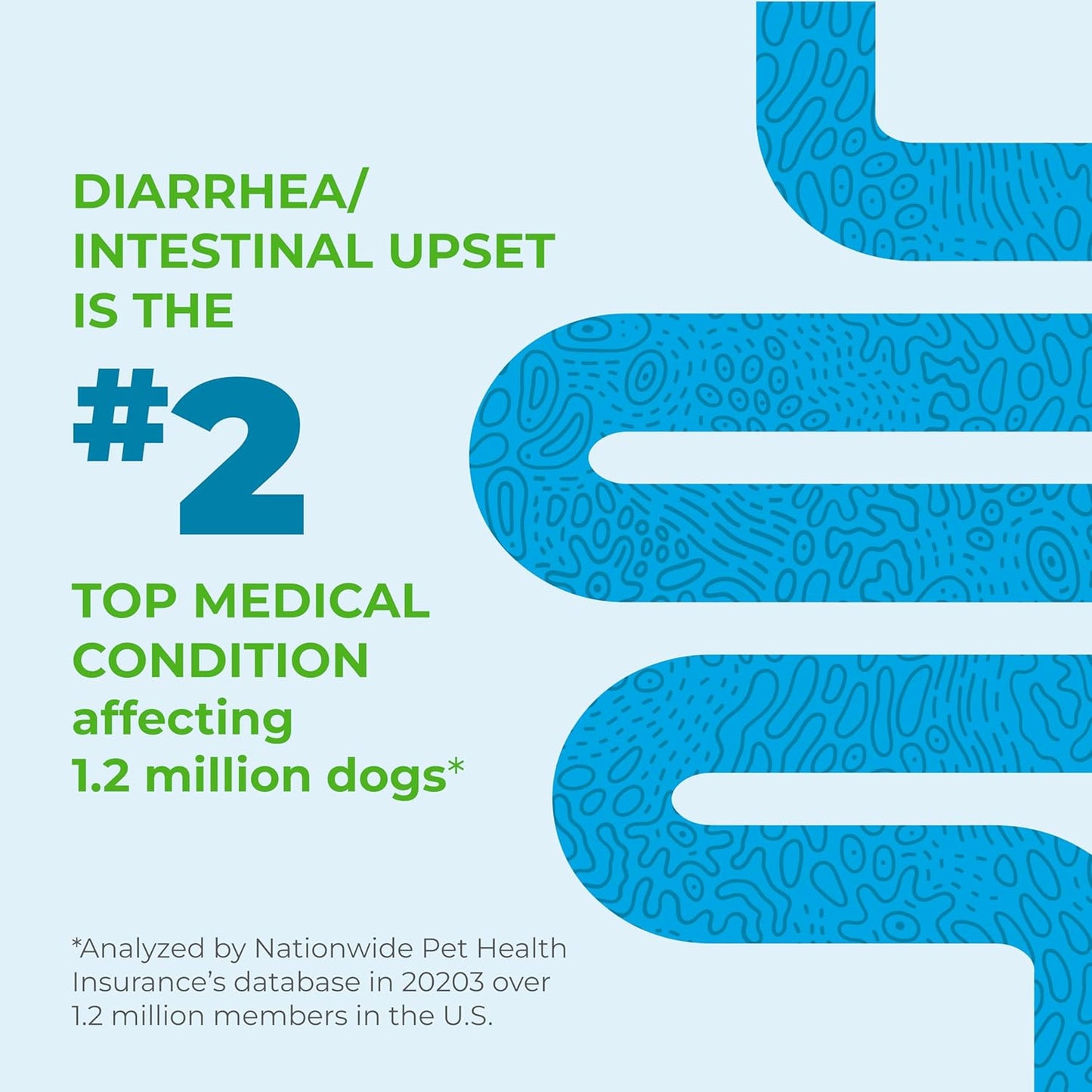 Vetnique Glandex Daily Probiotics for Dogs with Prebiotics to Support Gut Health with Fiber and Digestive Enzymes, Probiotic Chews or Powders (120ct Chews, Bacon Chews)