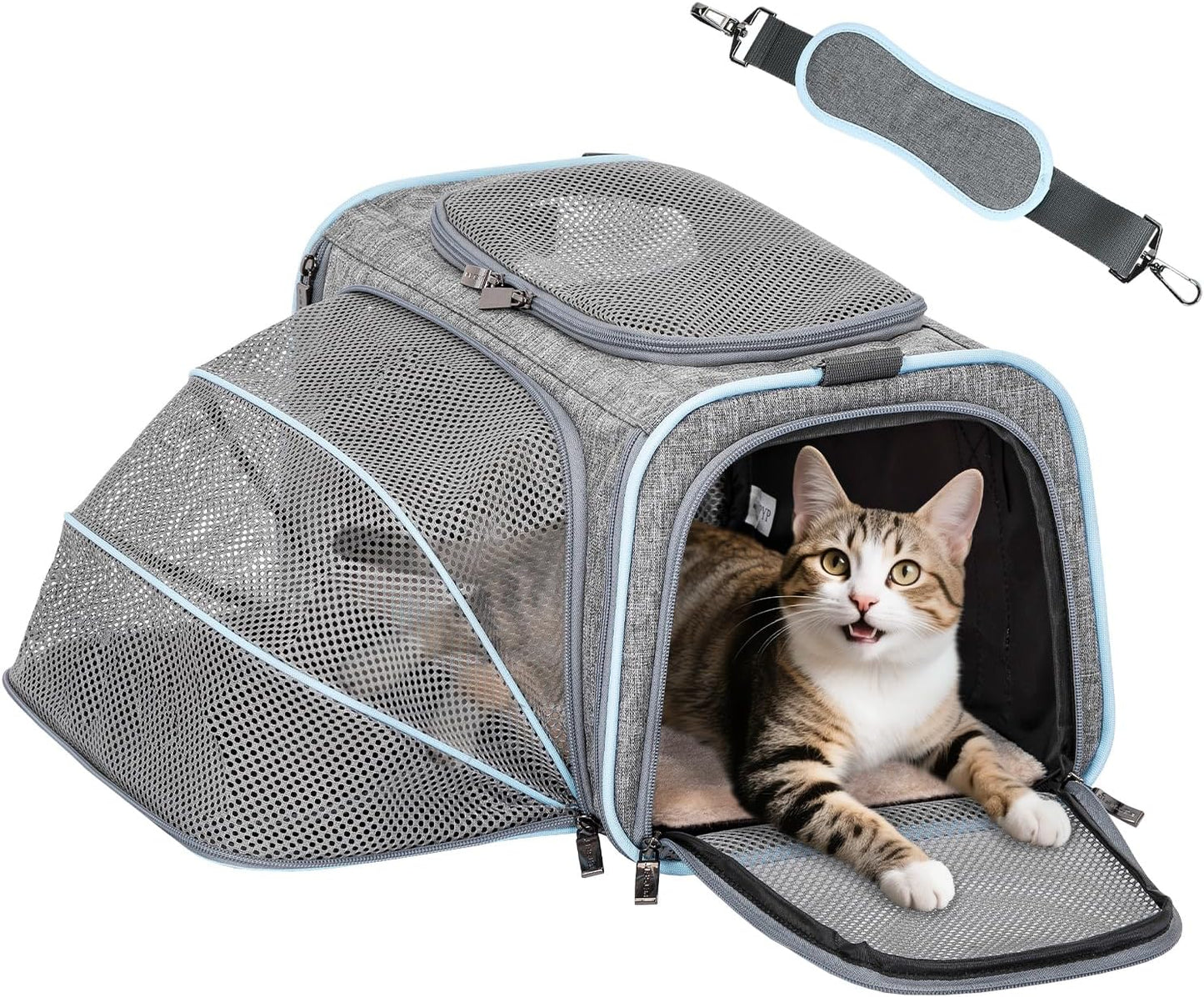 Petsfit Small Cat Carrier Soft Airline Approved Expandable Carrier for Kitten Puppy Bunny, 16"X10"X9“