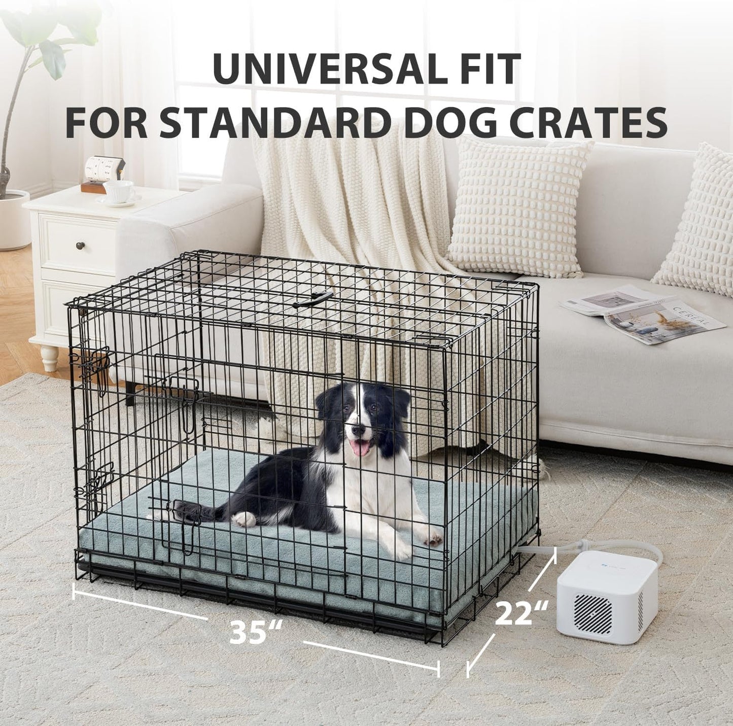 Pet Bed Cooling System, Consistent Warm and Cold Water Pad, No Electric Shock or Chemical Gel Needed, Machine Washable Bed, Ideal for Home and Crates (Cooling & Heating Green, 35" x 22")