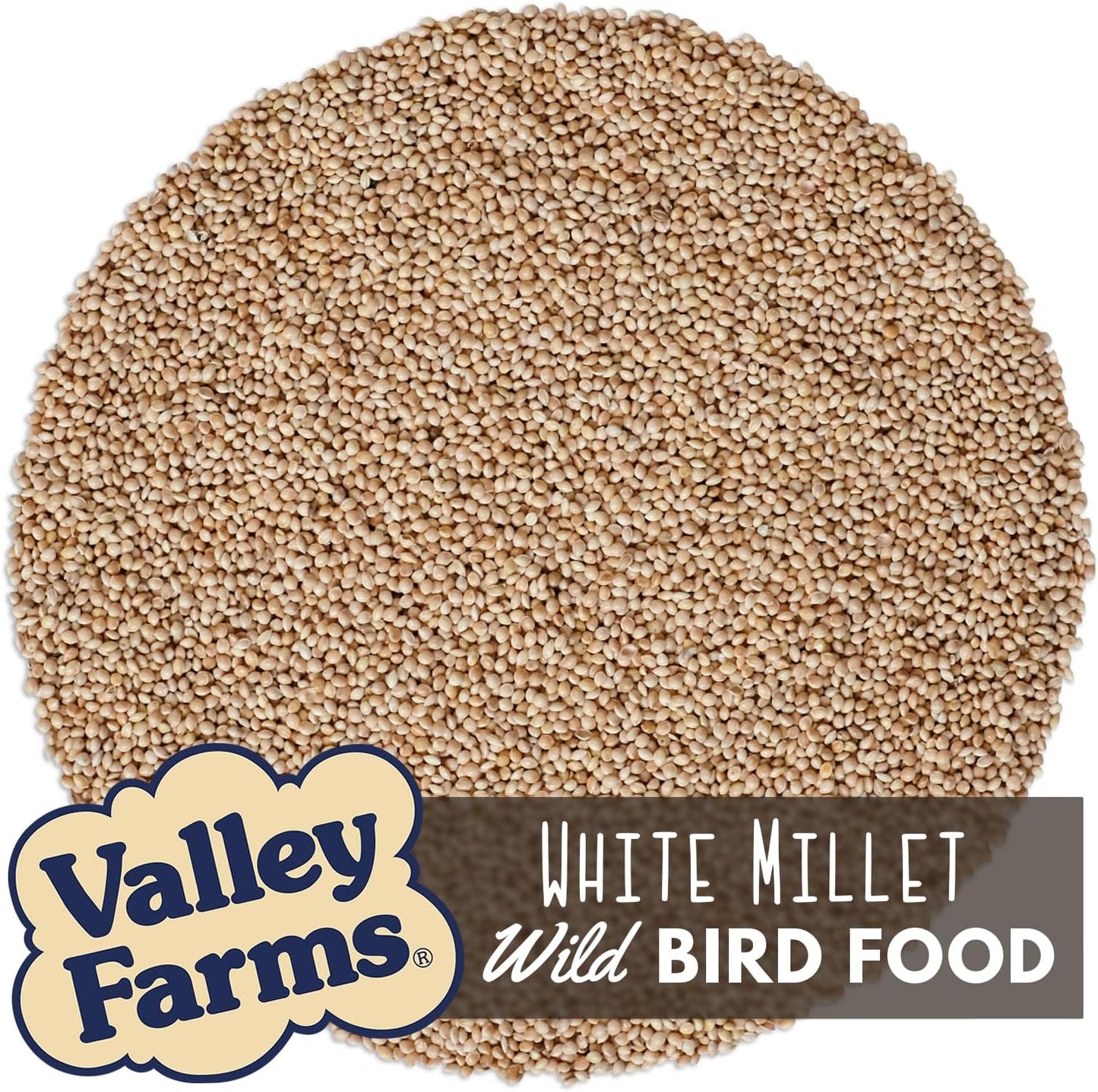 Valley Farms White Millet Wild Bird Seed (5LB) for Outside feeders, White proso Millet, Bird Watcher Secret Wild Bird Food to Attract Colorful Painted Buntings in Southern USA