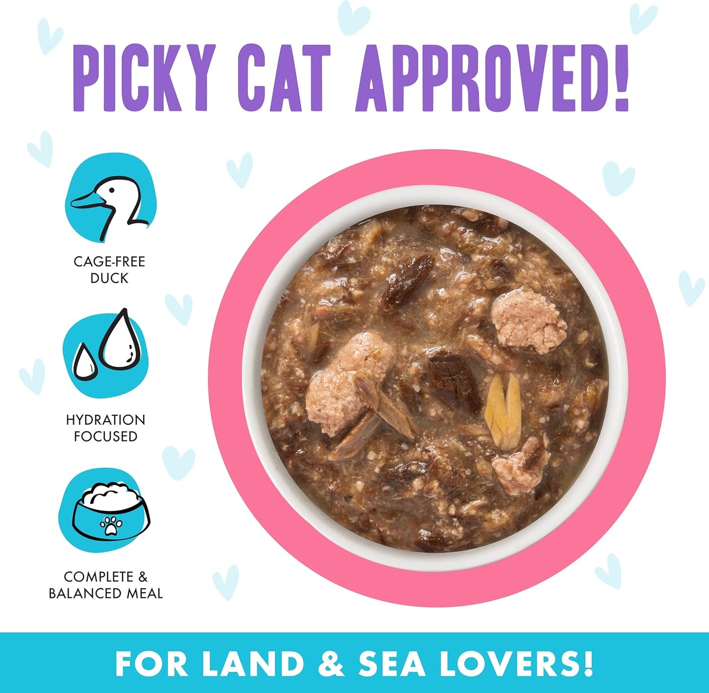 Weruva B.F.F. OMG - Best Feline Friend Oh My Gravy!, Date Nite! with Duck & Salmon in Gravy Cat Food, 2.8oz Pouch (Pack of 12)