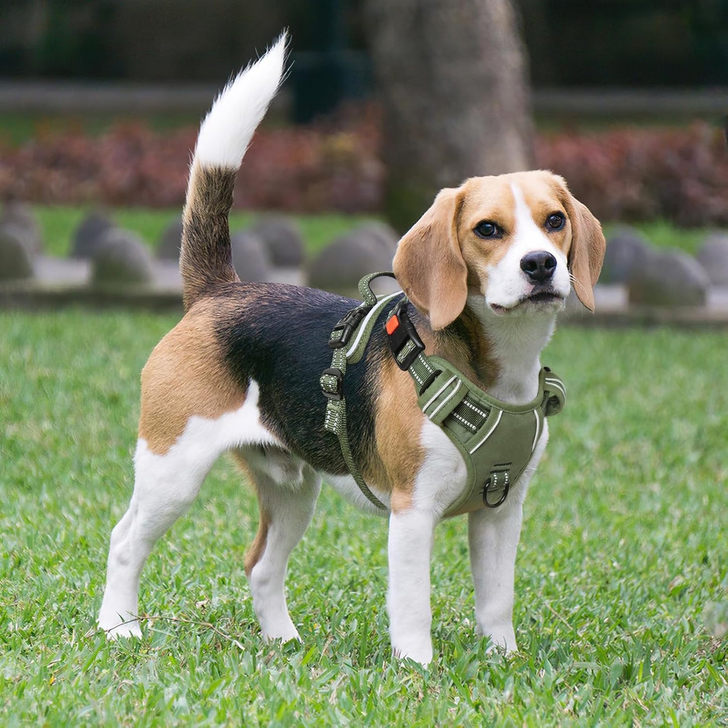 Timos Dog Harness Large Sized, No Pull Pet Harness with Neck Lockable Snap,No Choke Front Clip Dog Reflective Vest,Adjustable Metal Rings 3 Buckles,Easy Control Handle for Large Dogs Green XL