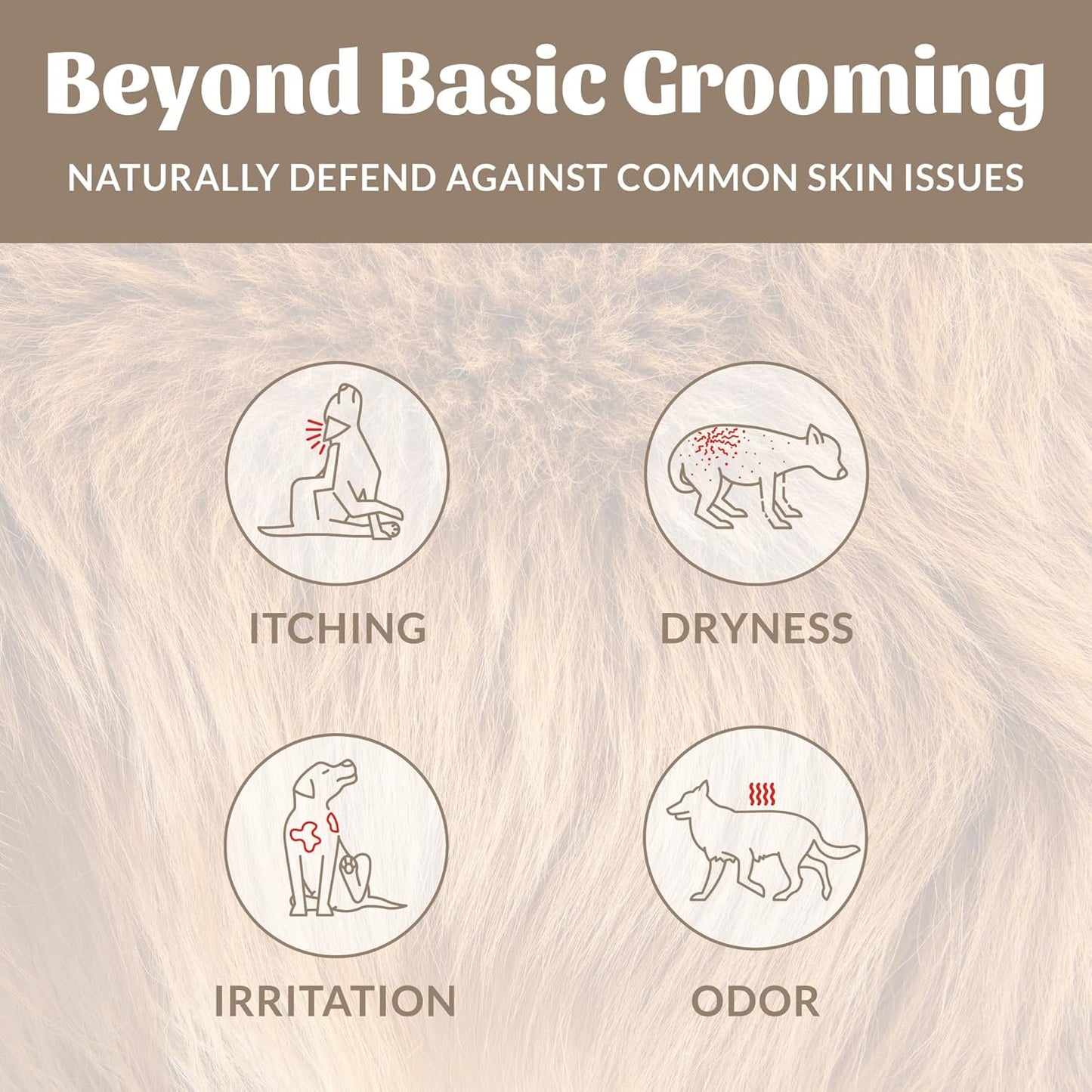 SKOUT'S HONOR Probiotic Pet Deodorizer Spray- Hydrating Daily-Use with Avocado Oil & Omega-3s, Microbiome Friendly Certiified, Paraben & Sulfate-Free, 97% Natural, 8oz, Dog of The Woods, 2-Pack