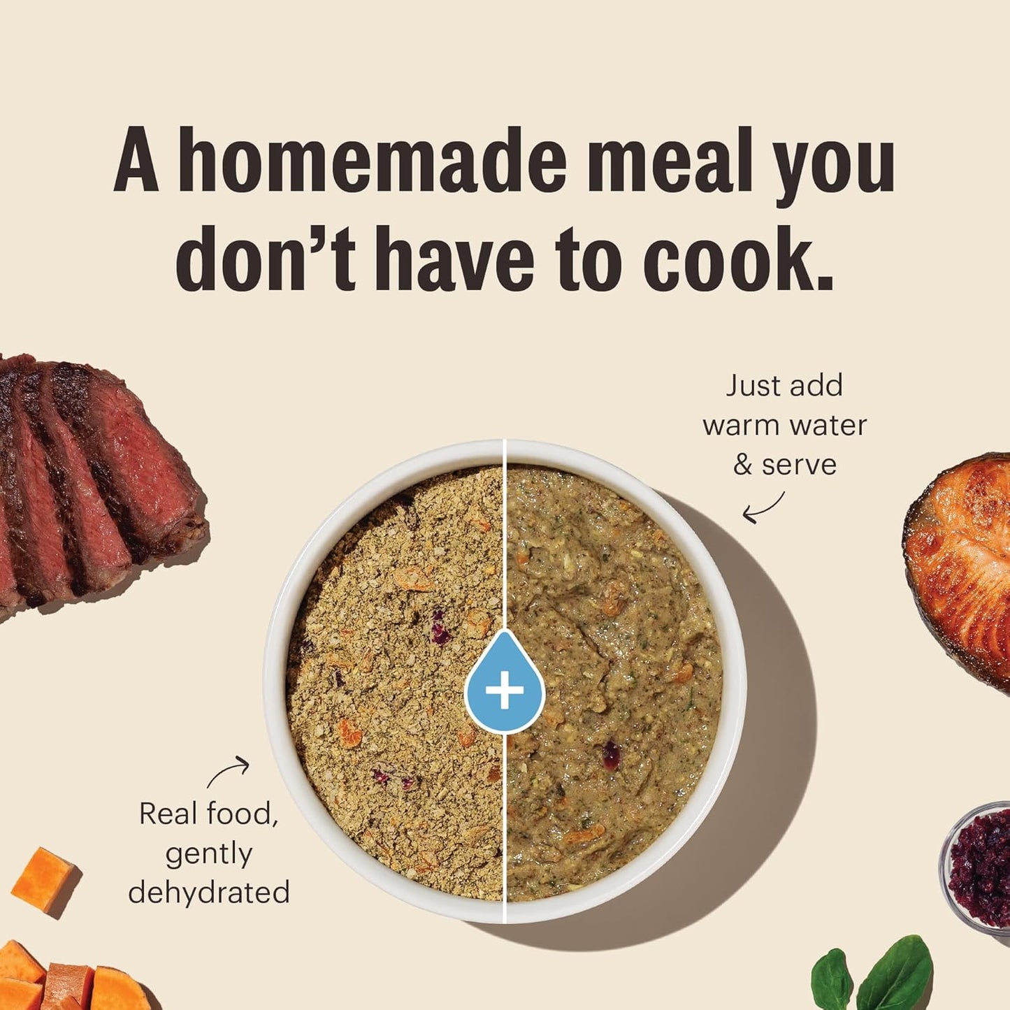 The Honest Kitchen Wholemade™ Grain Free Chicken Dog Food, 2 lb Bag