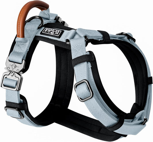 MADE TO ROAM Premium Explorer Harness - Y-Shaped Dog Harness with Adjustable Durable Nylon, Soft Padding, Metal Buckles and Leather Handle for Small, Medium, Large Dogs (Alaska Daybreak, Size 2)