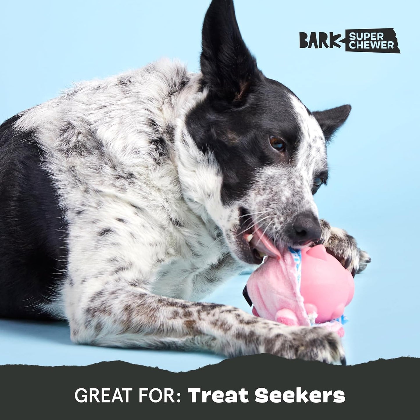 Barkbox Hambone Super Chewer Tough Dog Chew Toy for Aggressive Chewers, Plush Cover with Rubber Core - 2 Toys in 1 – Two Layer Treat Dispensing Dog Toy for Large Dogs