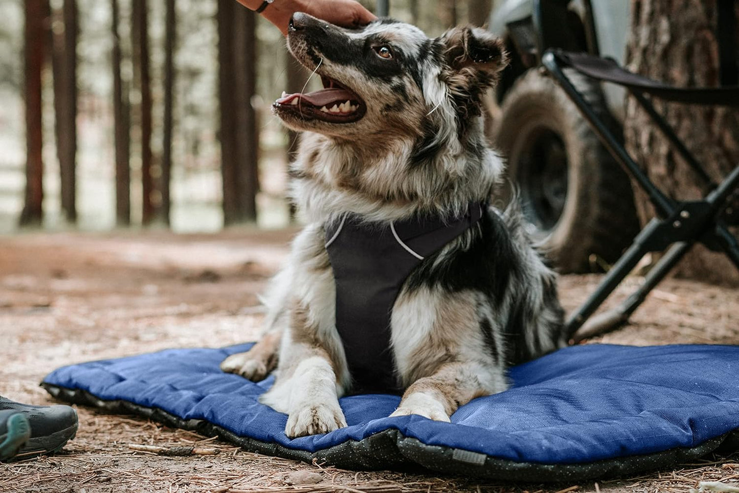 K9 Ballistics Tough Ripstop Dog Crate Pad - Durable & Machine Washable with Non-Skid Bottom and 120-Day Warranty, Fits 36" Wire Crates - Medium, Sandstone