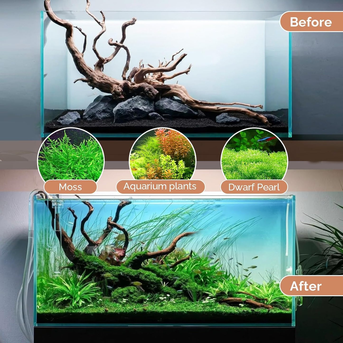 Natural Driftwood for Aquarium 12"-16" Large Aquarium Coral Wood Decor | Single Piece for Fish Tank Landscaping, Reptile Terrarium Climbing Branch, Freshwater Aquatic Wood Aquascaping