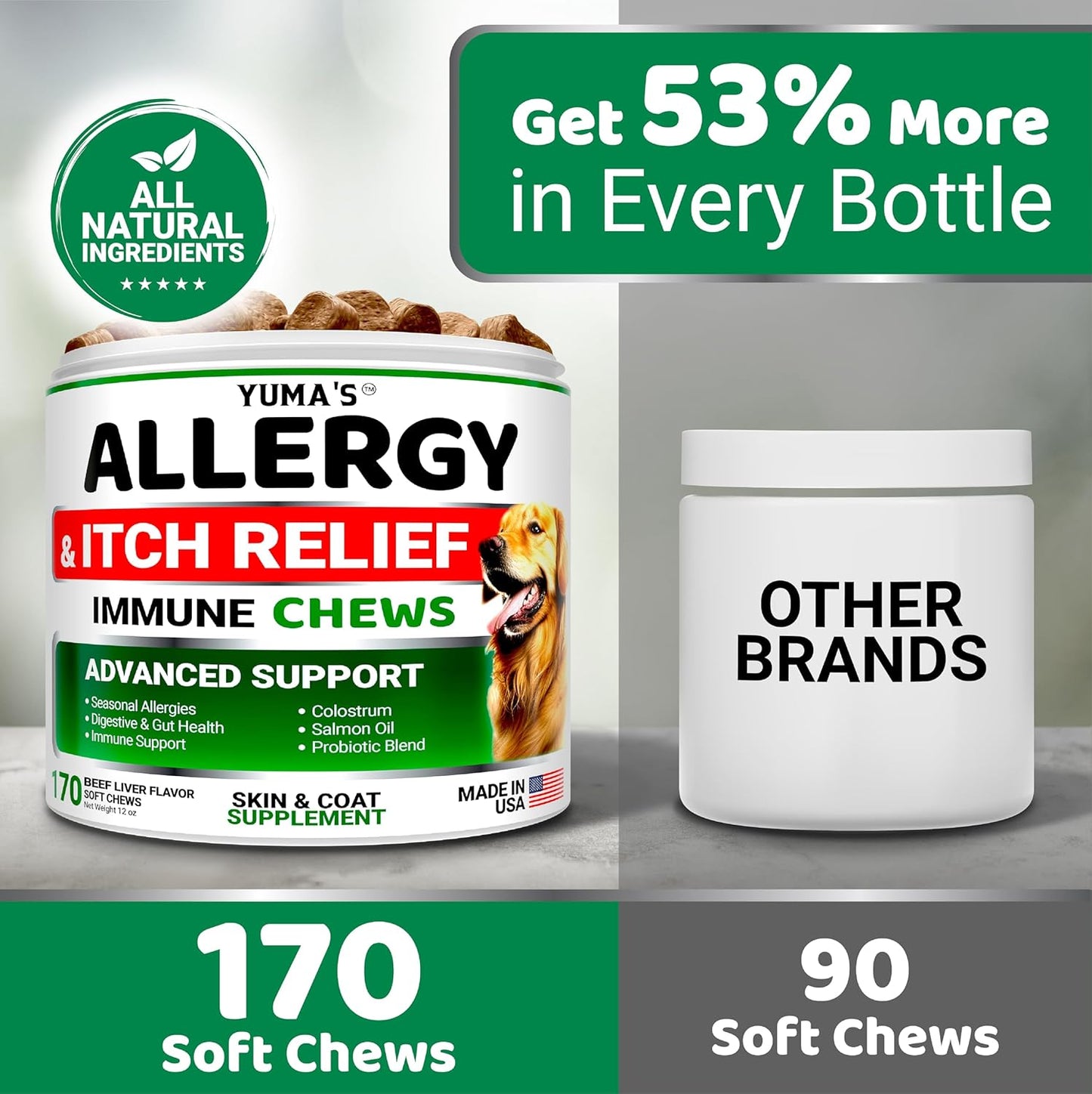 Dog Allergy Relief Chews - Dog Itching Skin Relief Treatment Pills - 170 Treats - Anti-Itch - Itchy and Paw Licking - Hot Spots - Omega 3 Fish Oil - Dry Skin & Coat Supplement - Beef Liver Flavor