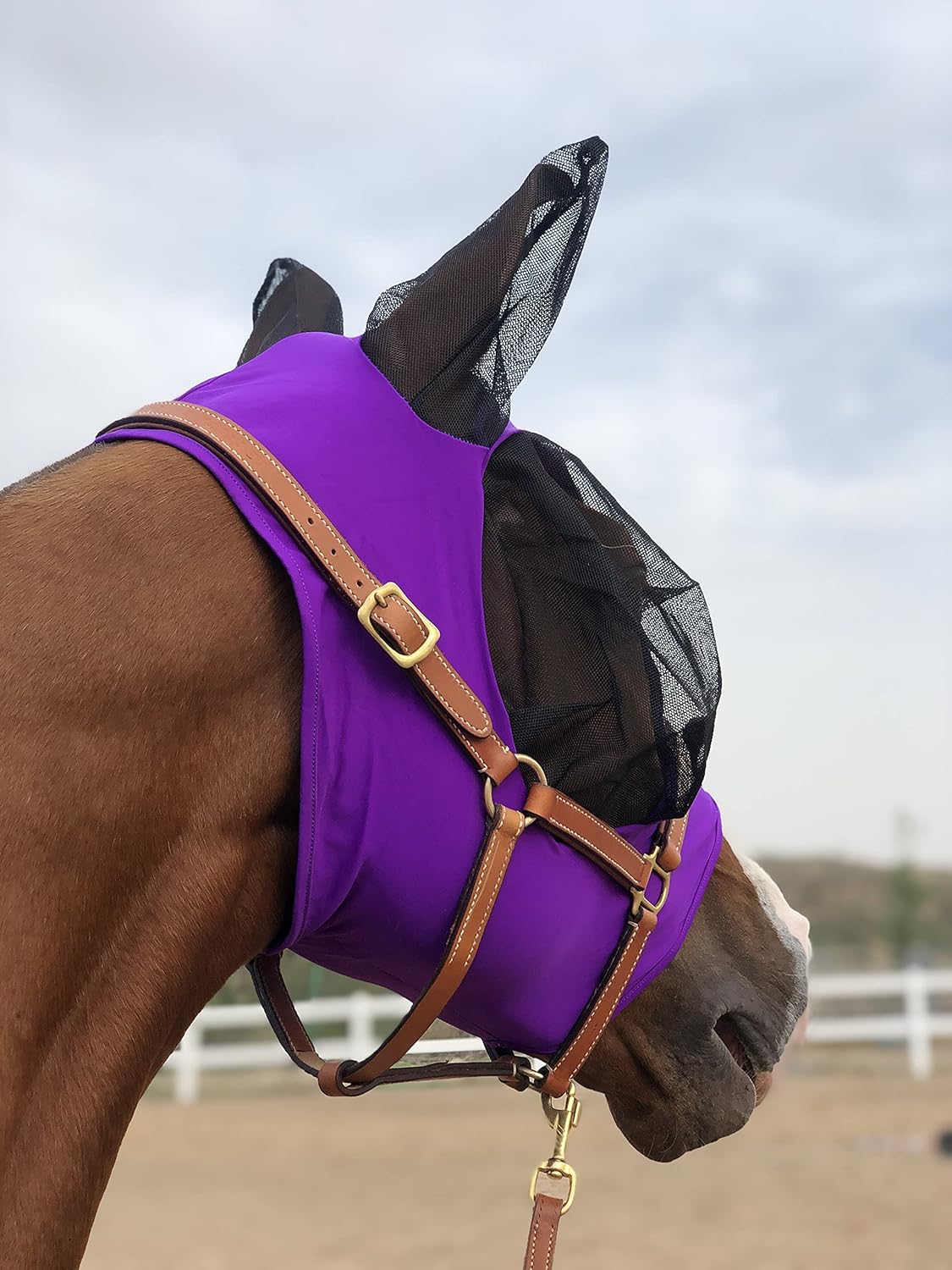 Horse Fly Mask Super Comfort Horse Fly Mask Elasticity Fly Mask with Ears We Only Make Products That Horses Like… (Dk Purple, M)