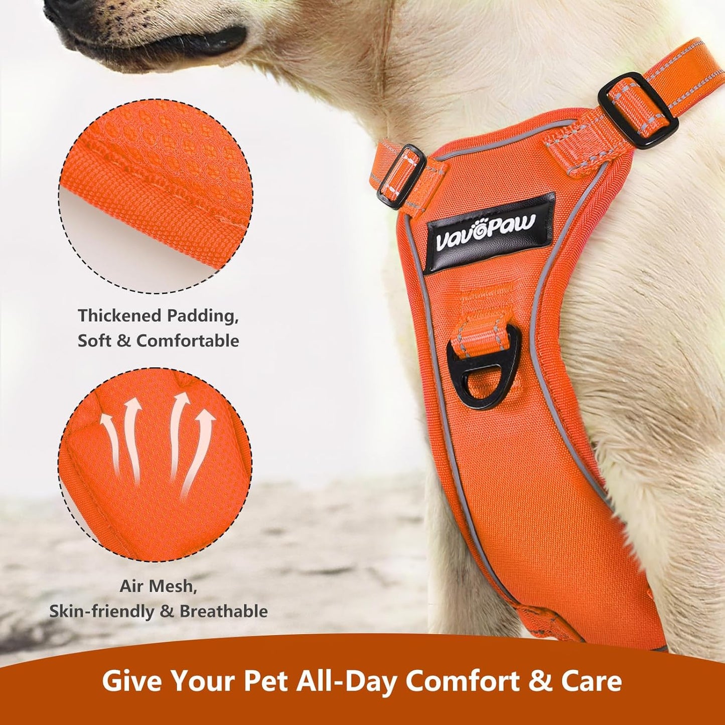 Dog Seat Belt Harness for Car, Dog Car Harness Adjustable Mesh Breathable & Dogs Seatbelt Safety Tether with Elastic Bungee for Small Medium Large Pets(Orange, M)