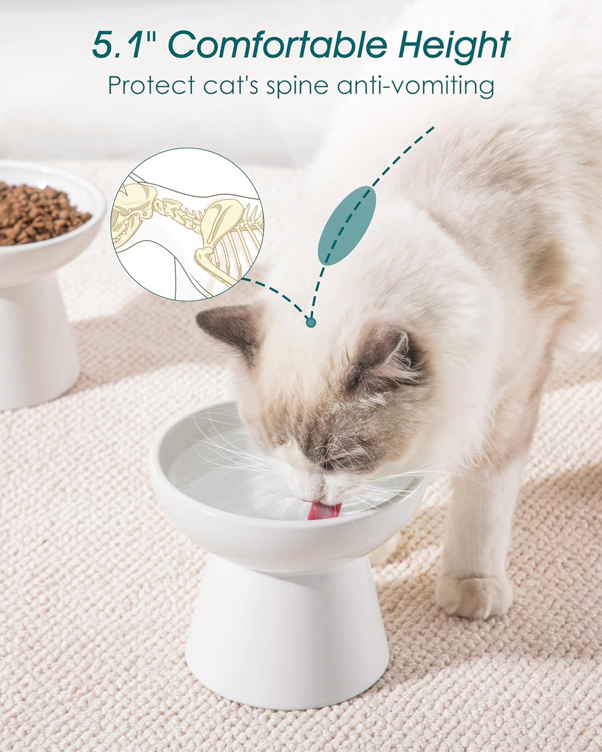 vancasso Ceramic Elevated Cat Bowls 2-Pack - 6.2" Extra Wide Raised Cat Food & Water Dishes, 5.1" Optimal Height Anti-Whisker Fatigue Shallow Bowls for Cats/Kittens/Dogs, Lead & Cadmium Free (White)