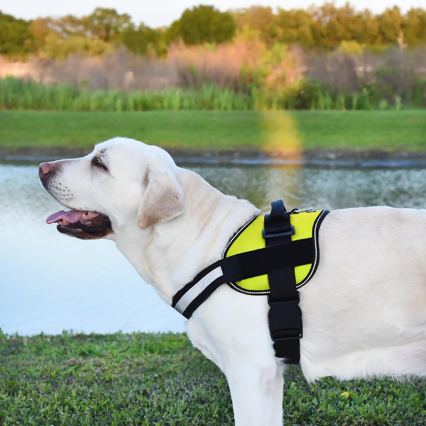 Dogline Dog Harness, Reflective No-Pull Adjustable Vest with Handle for Walking, Training, Breathable, No - Choke Harness for Small, Medium or Large Dogs Room for Patches Girth 18 to 24 in Lime Green