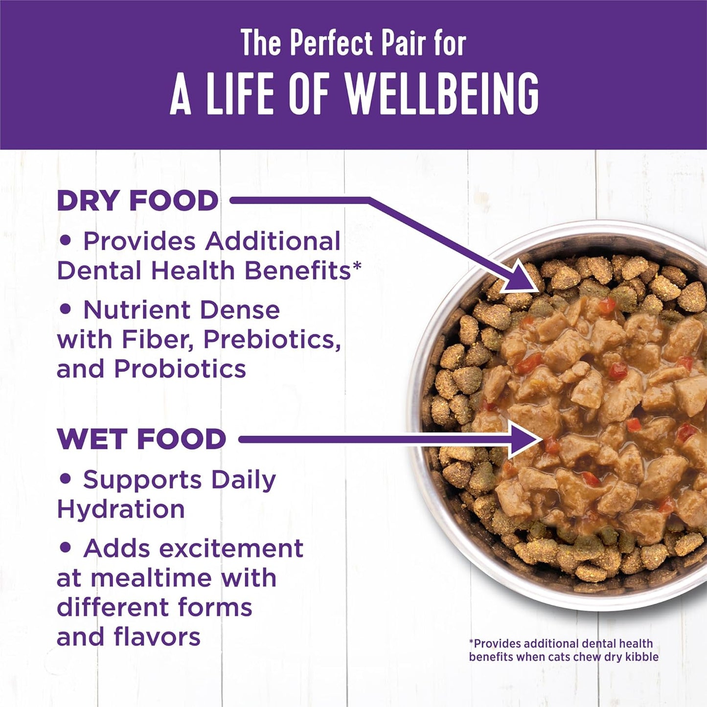 Wellness Complete Health Minced Adult Wet Cat Food, Natural, Protein-Rich, Grain Free, 3 Ounce, 24 Pack, (Turkey Entrée)