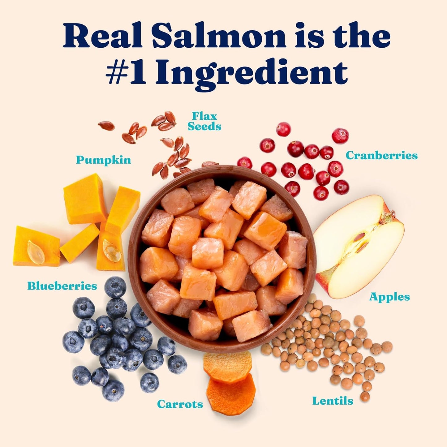 Solid Gold Indoor Dry Cat Food - Grain Free & Gluten Free - Salmon Cat Food Dry Kibble for Indoor Cats w/Probiotics & Fiber for Gut Health - Sensitive Stomach & Hairball Support for Adult Cats - 3LB