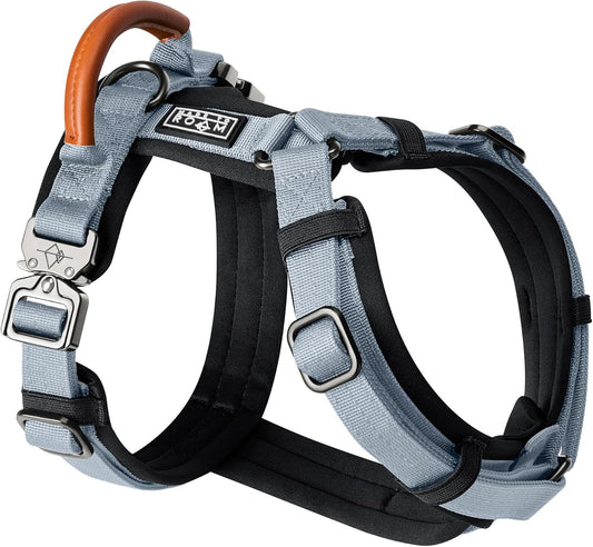 MADE TO ROAM Premium Explorer Harness - Y-Shaped Dog Harness with Adjustable Durable Nylon, Soft Padding, Metal Buckles and Leather Handle for Small, Medium, Large Dogs (Virginia Mountains, Size 4)