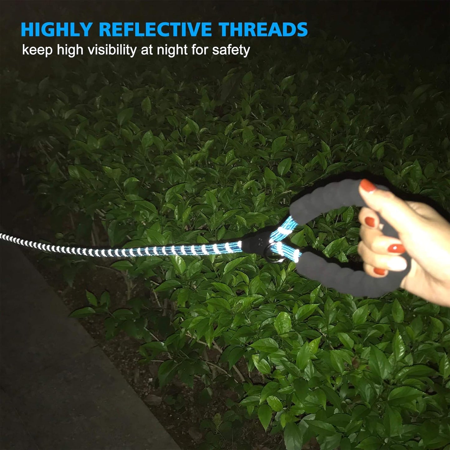 Heavy Duty Dog Leash - Comfortable Padded Handle, 5 ft Long - Dog Leashes for Small Medium Large Dogs (Leash+Collar L Neck 20"-25", Blue)