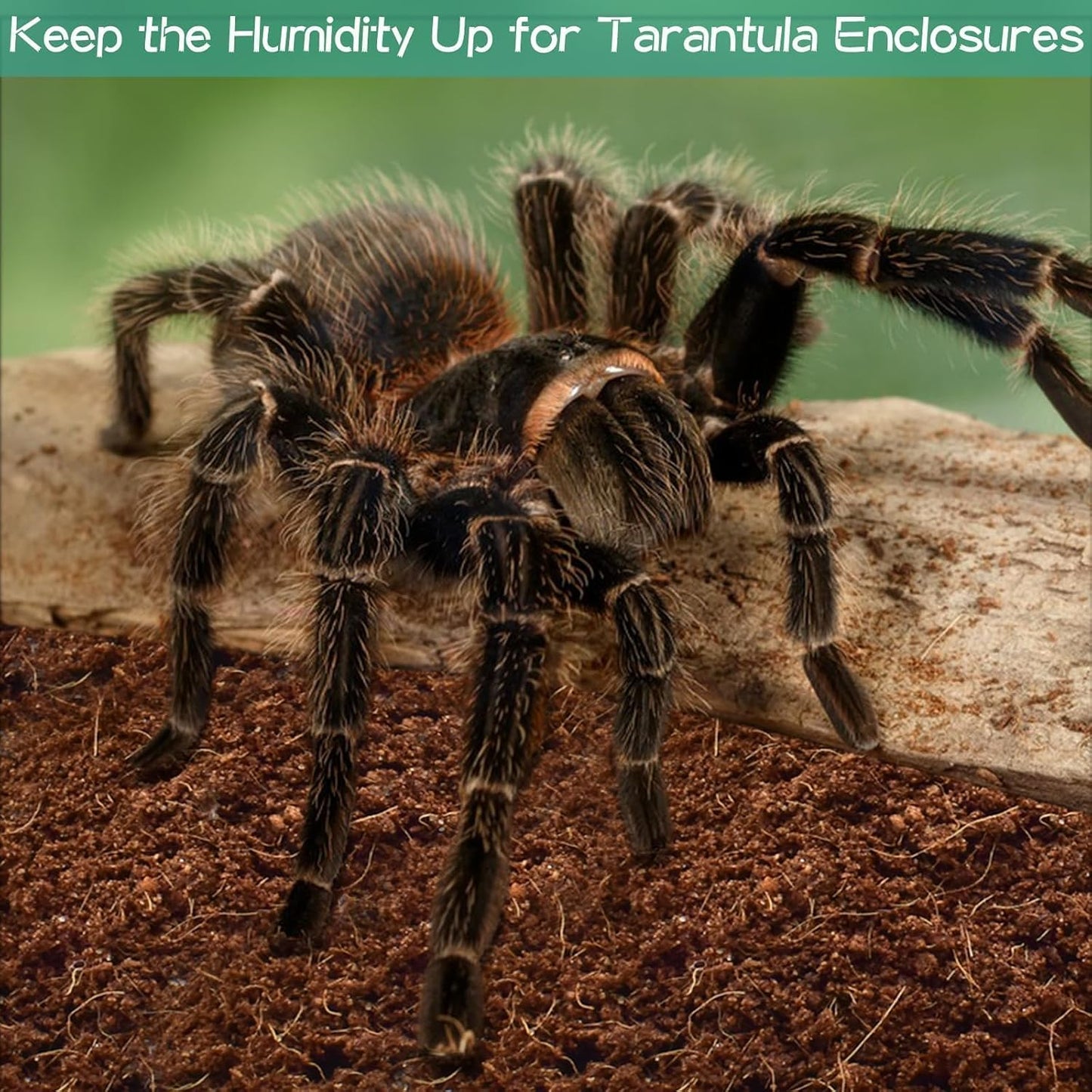 Halatool 4Pack Coconut Fiber Substrate Natural Premium Coco Coir Terrarium Aquarium Substrate for Reptile Tank Tortoise Habitat Beard Dragon Leopard Gecko Snake Tarantula Worm Bins Hermit Crab Snake