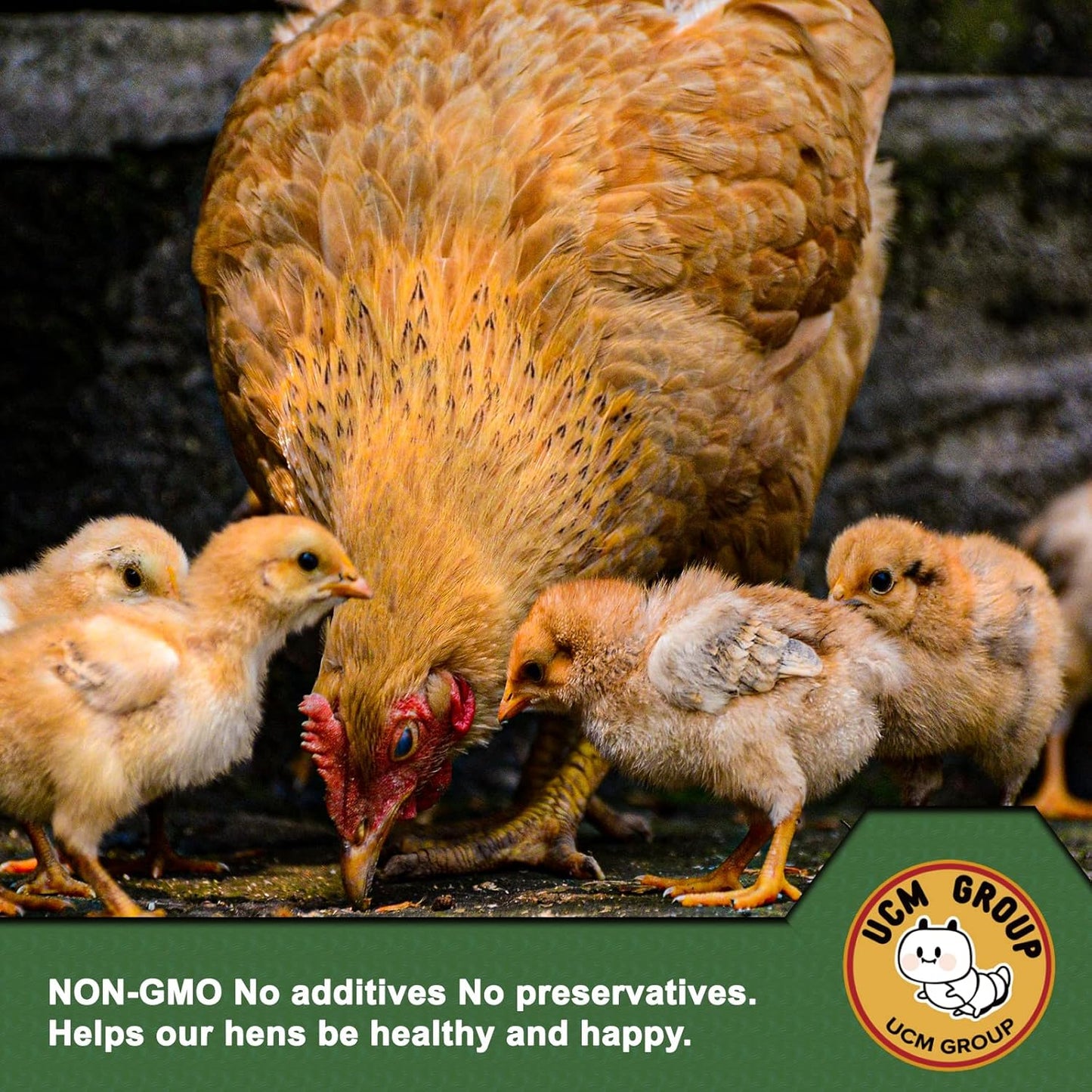 UCM Group 10LB Dried Mealworms for Wild Birds, Chickens, High Protein Organic Chicken Feed, 100% Non-GMO for Chickens, Ducks, Turtles and Reptiles