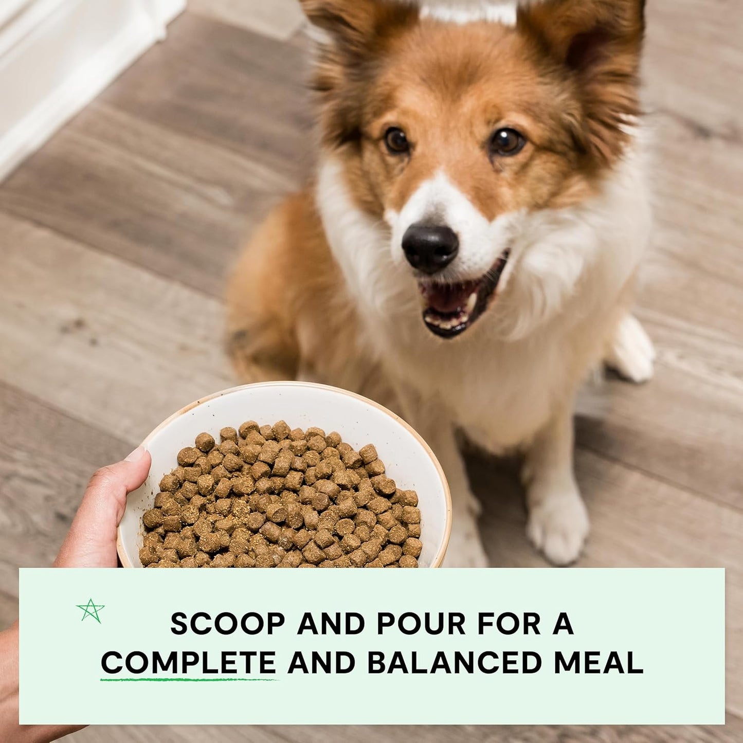 Open Farm, Grain-Free Dry Dog Food, Complete & Balanced Kibble, Sustainably & Ethically Sourced Ingredients, Non-GMO Veggies & Superfoods Support Overall Health, Pasture Raised Lamb Recipe, 11lb Bag
