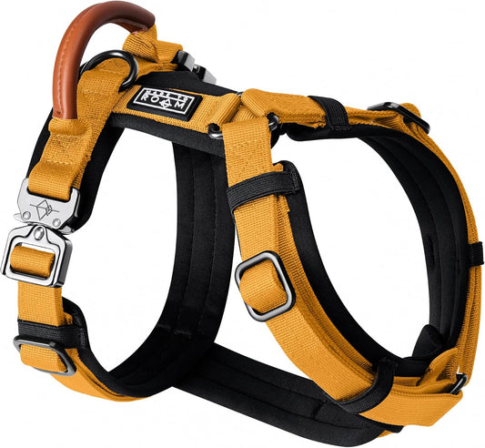 MADE TO ROAM Premium Explorer Harness - Y-Shaped Dog Harness with Adjustable Durable Nylon, Soft Padding, Metal Buckles and Leather Handle for Small, Medium, Large Dogs (Michigan Autumn, Size 3)