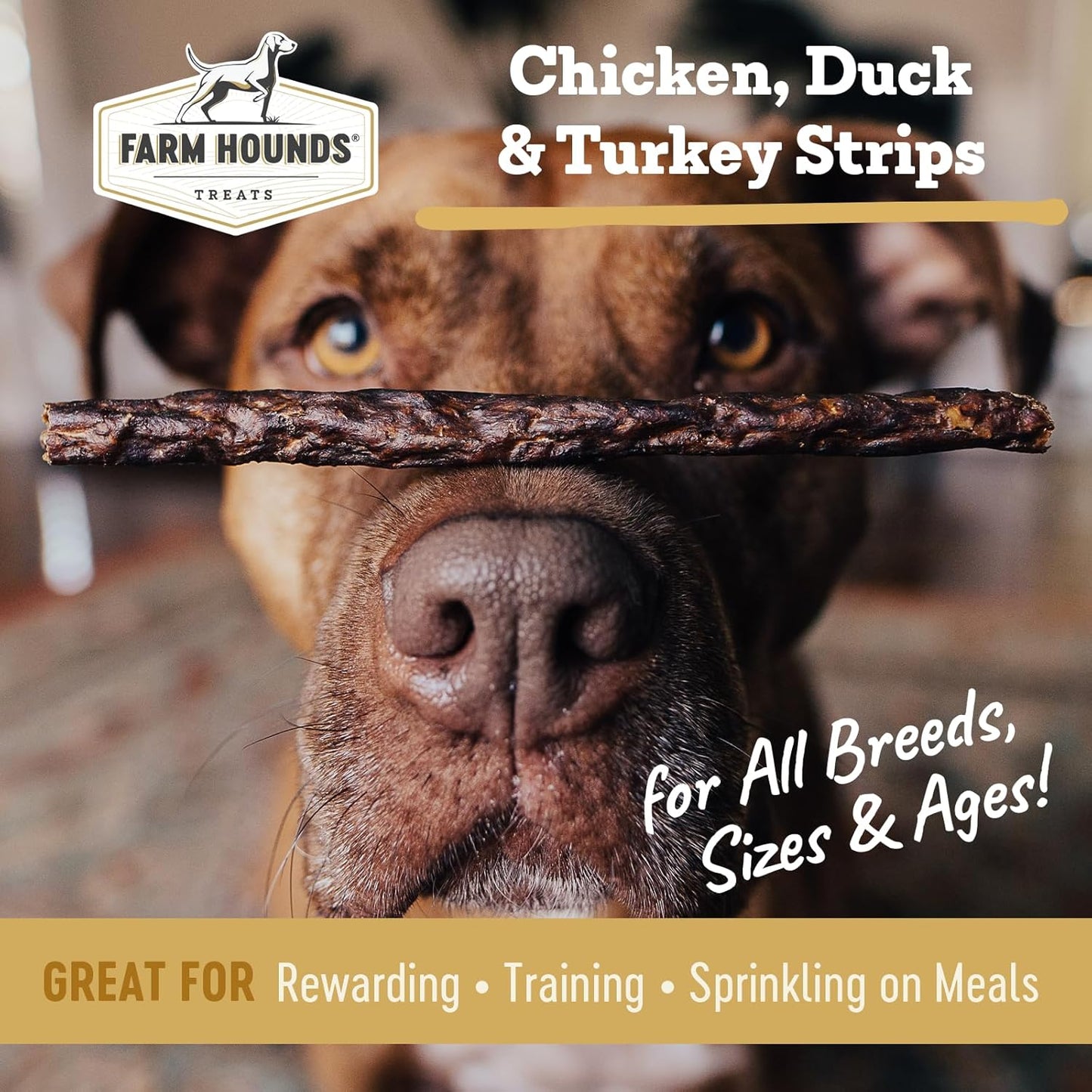 Farm Hounds - Bundle Gizzards - Premium Chicken, Duck, & Turkey Jerky for Dogs - from 100% Humanely Raised - Break-to-Size - Great for Training & Treats - No Added Fillers - Made in USA - 3 Pack