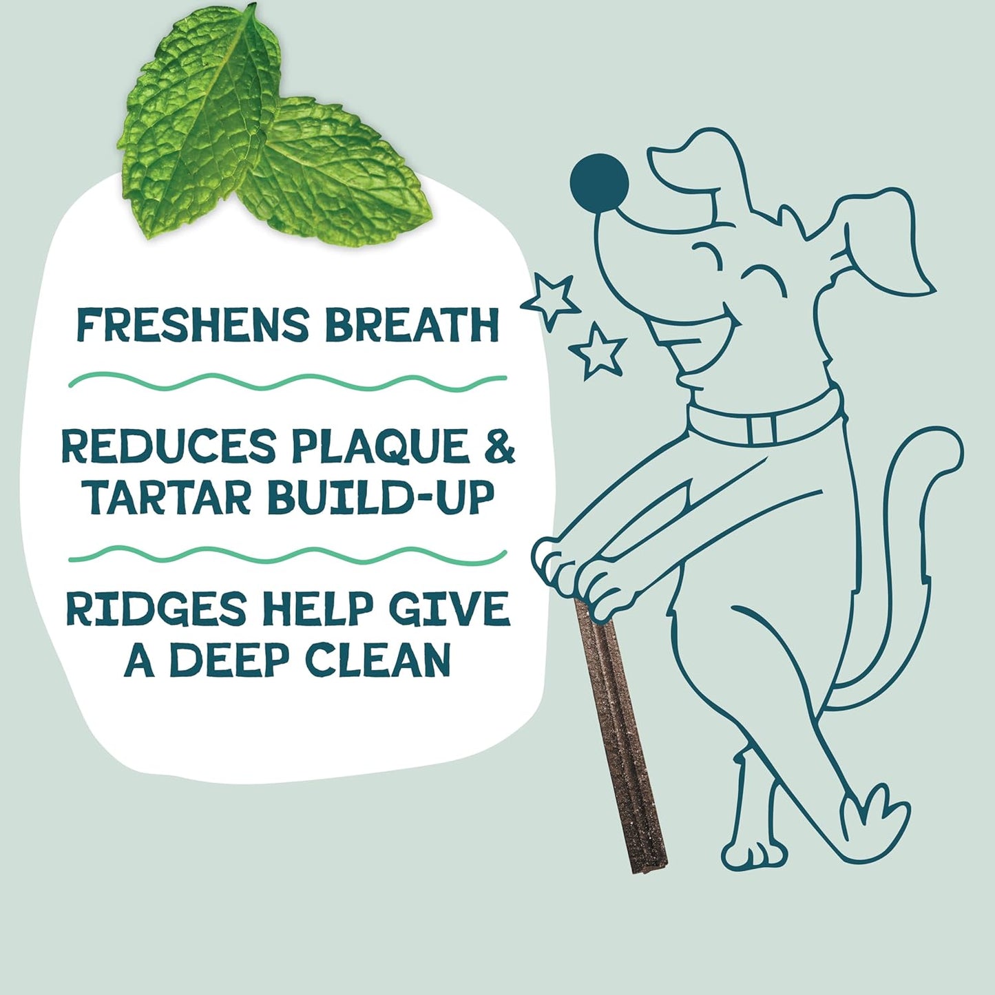 Shameless Pets Dental Treats for Dogs, The Tooth Berry - Healthy Dental Sticks with Immune Support for Teeth Cleaning & Fresh Breath - Free from Grain, Corn & Soy