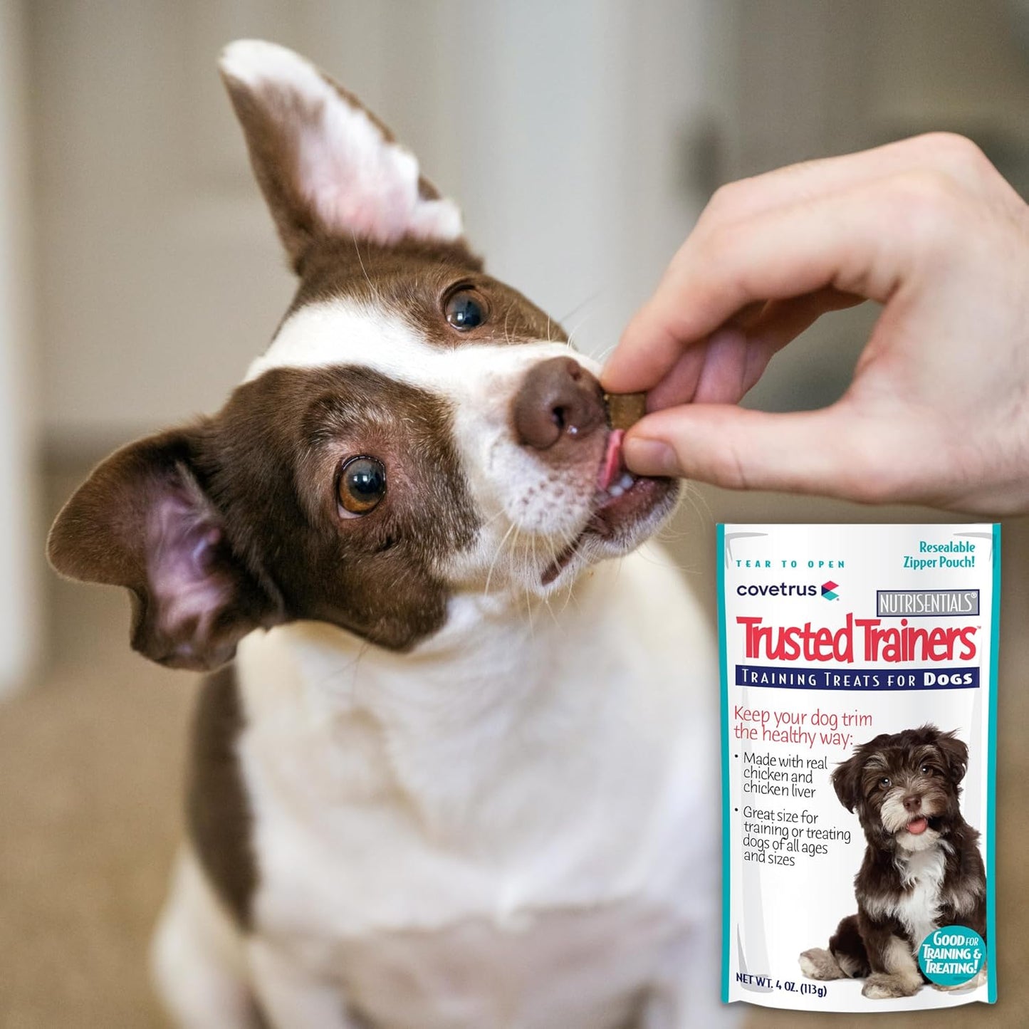 Covetrus NutriSentials Trusted Trainers Training Treats for Dogs - Soft Dog Treats for Small, Medium & Large Dogs - Chicken Flavor - 10 Pack - 4 oz