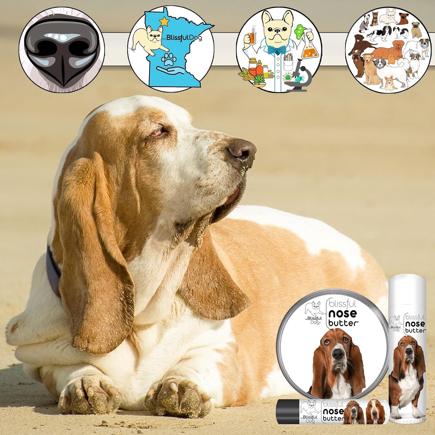 The Blissful Dog Basset Hound Nose Butter for Dry, Cracked Skin, Lick-Safe Dog Nose Balm with Moisturizing Shea Butter, Almond, Olive, and Essential Oils, Pet Supplies, Uncented, 8 oz.