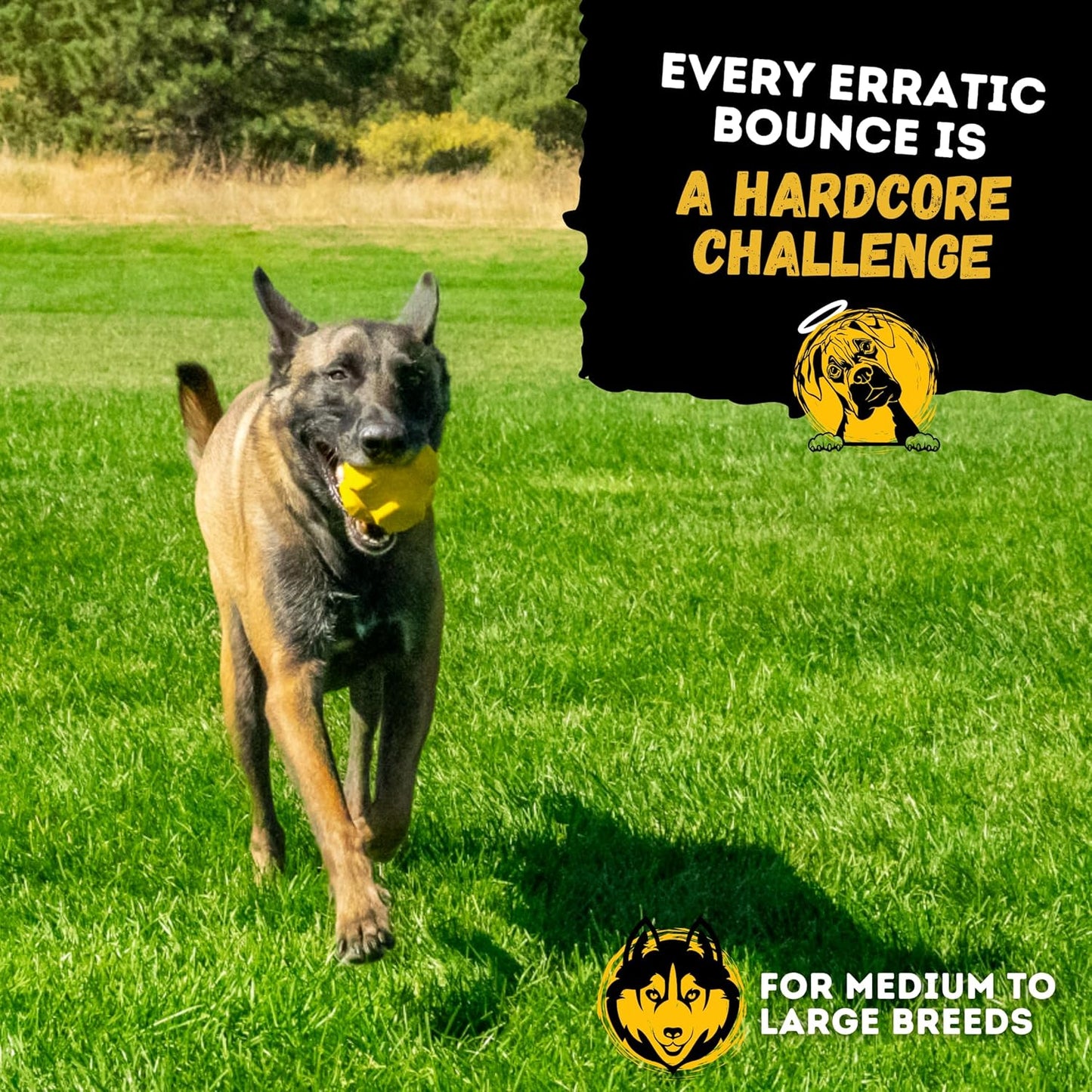 Indestructible Jumping Jack Chew Toy - Lifetime Replacement - Durable Dog Toy for Aggressive Chewers - Safe, Non-Toxic Natural Rubber - Interactive, Chew & Fetch - Tough, Heavy Duty - 4.5”