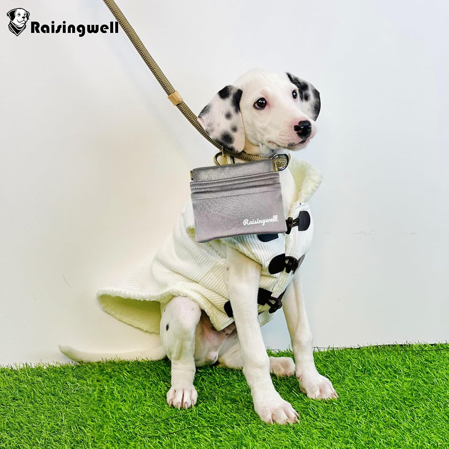 Dog Treat Pouch, Pocket Sized Pet Training Pouch, Hand Free Bronze Dog Walking Bag with Carabiner, Self-Closing Pet Feed Snack Reward, for Puppy Travel or Outdoor Use, NanoPTC