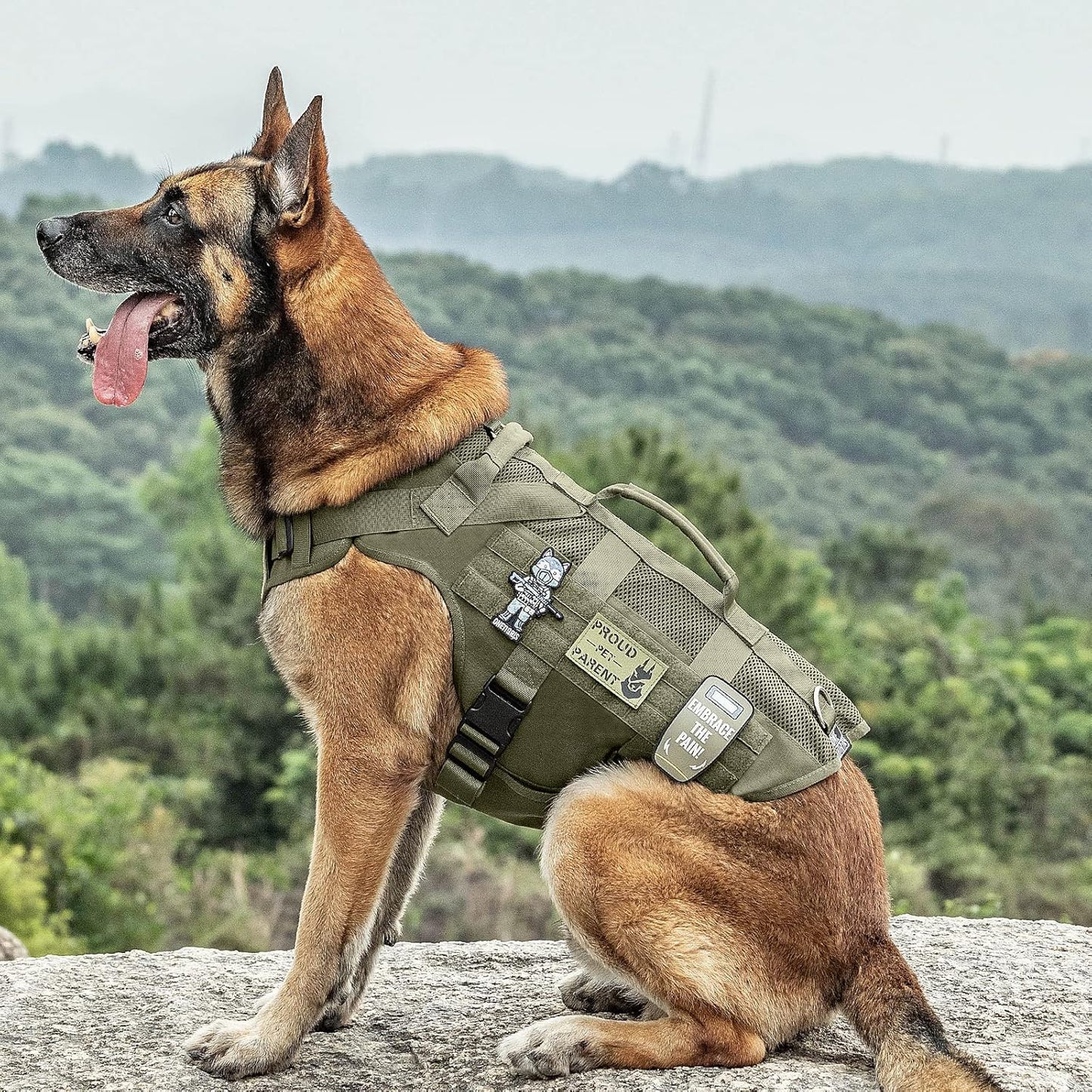 OneTigris Tactical Dog Harness for Small Dogs, No Pull Small Dog Vest Harness Breathable Military Dogs Molle Vests with Handles, Harness for Walking Hiking Training (Green, XS)
