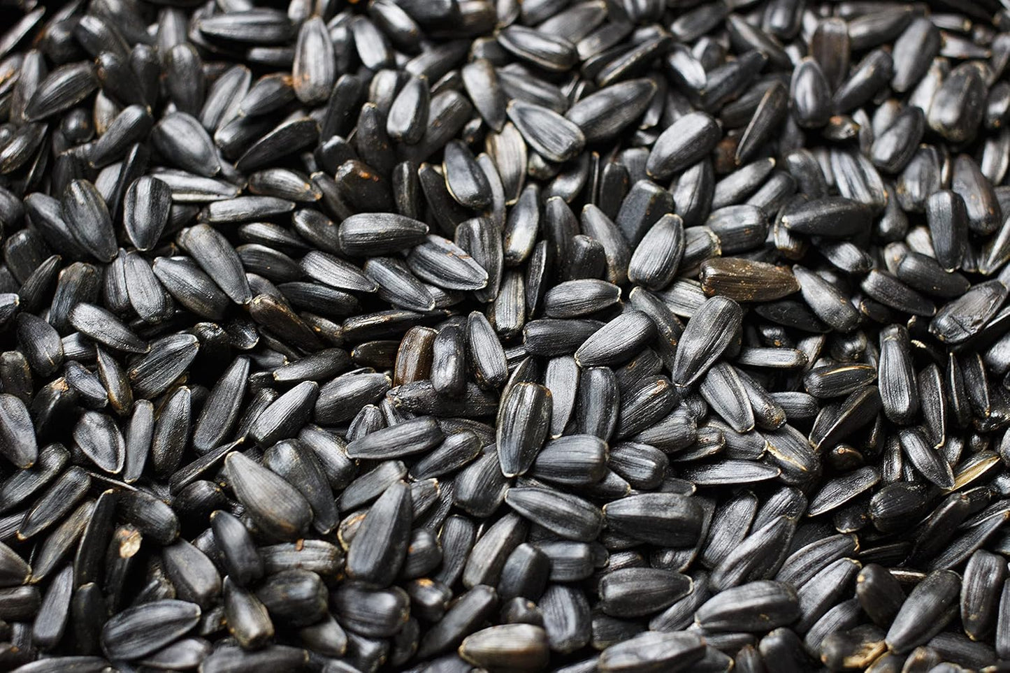 Flying Colors Premium Organic Wild Bird Seed | Black Oil Sunflower Seed | USDA Organic Ingredients | Best Seed for Backyard Bird Feeders | 3 Gallon Easy-Pour Carton