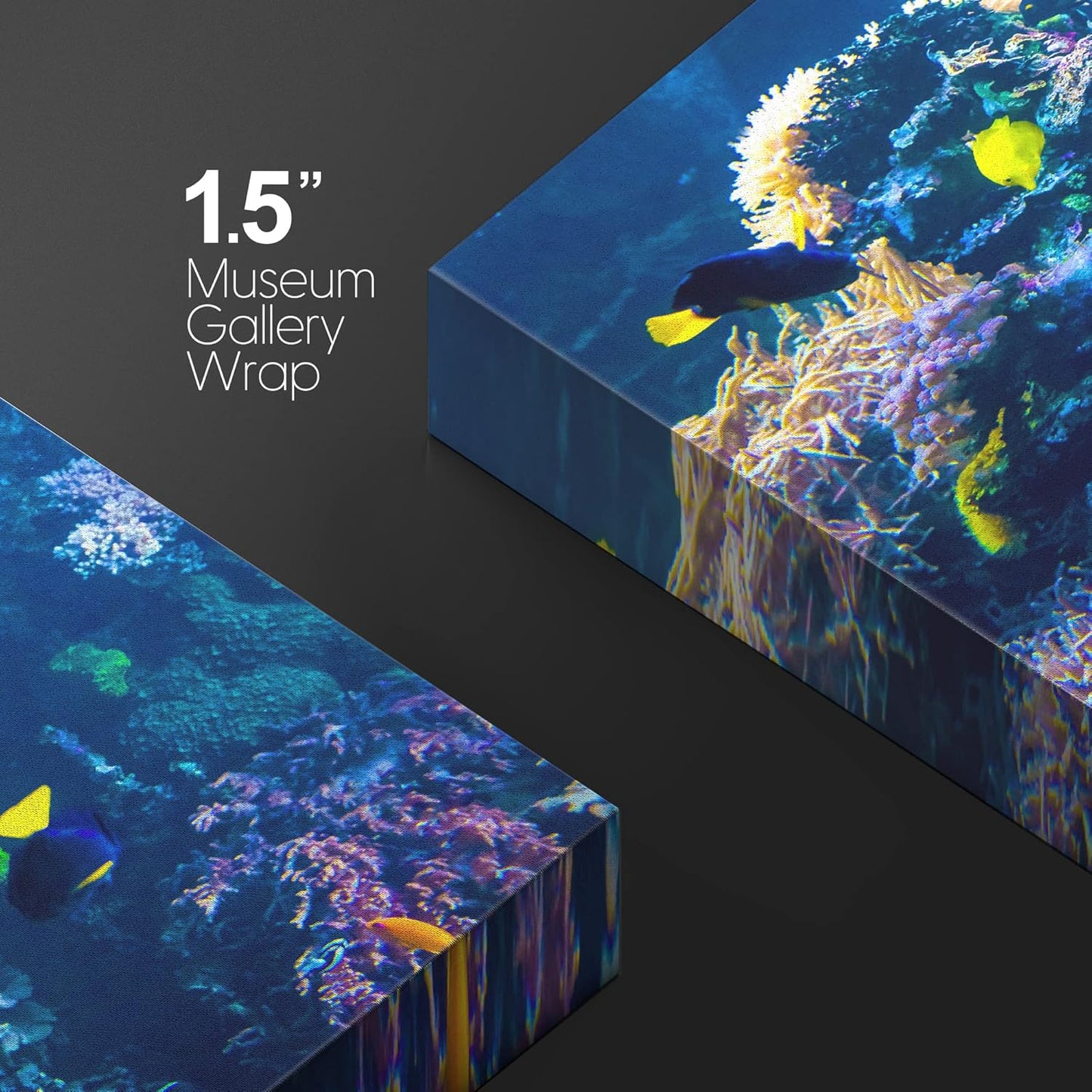 wall26 Canvas Print Wall Art Vibrant Multicolor Coral Reef Fish Ecosystem Nature Animals Photography Realism Rustic Scenic Landscape Wilderness Colorful for Living Room, Bedroom, Office - 12"x18"