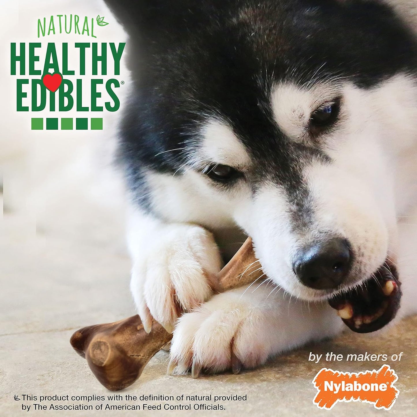 Nylabone Healthy Edibles Wild Natural Long-Lasting Bison Flavor Bone Chew Treats for Dogs, Large (1 Count) (Pack of 4)