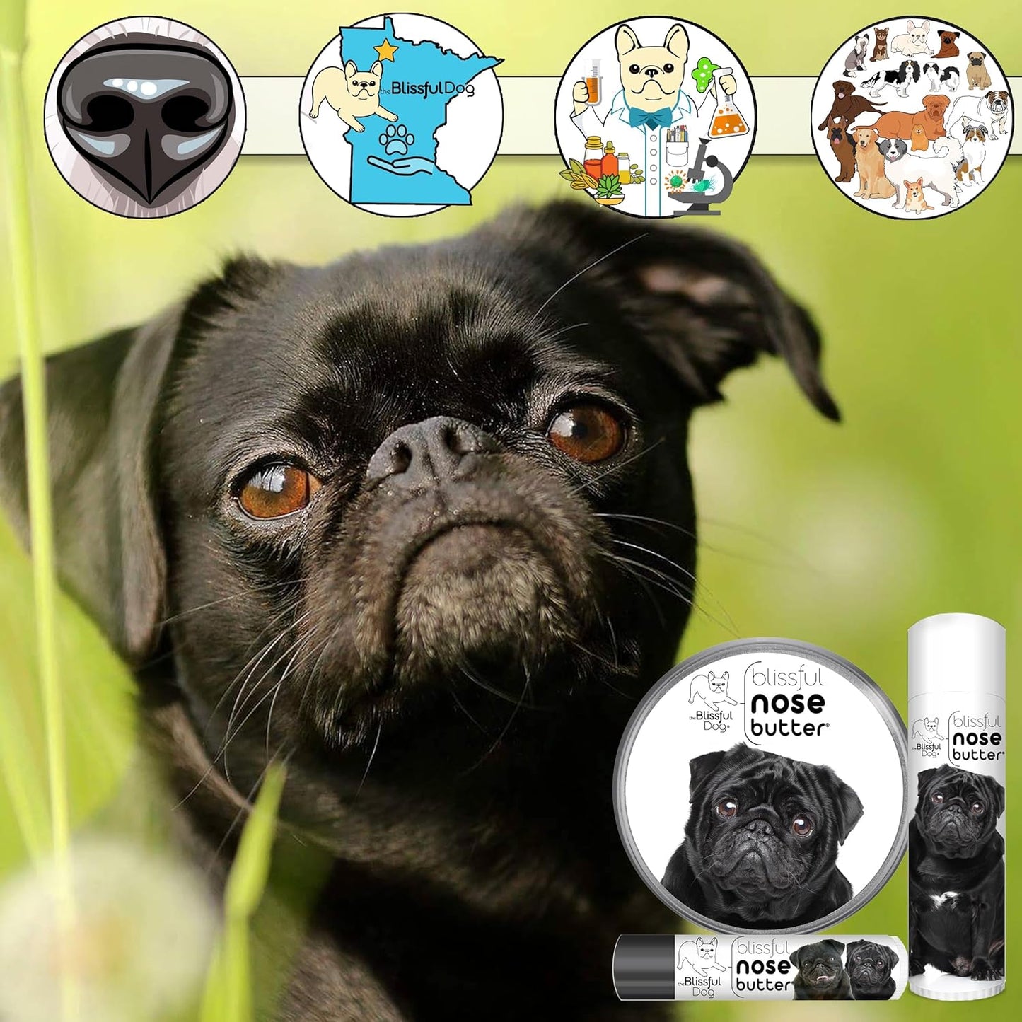 The Blissful Dog Black Pug Nose Butter for Dry, Cracked Skin, Lick-Safe Dog Nose Balm with Moisturizing Shea Butter, Almond, Olive, and Essential Oils, Pet Supplies, Uncented, 0.50 oz.