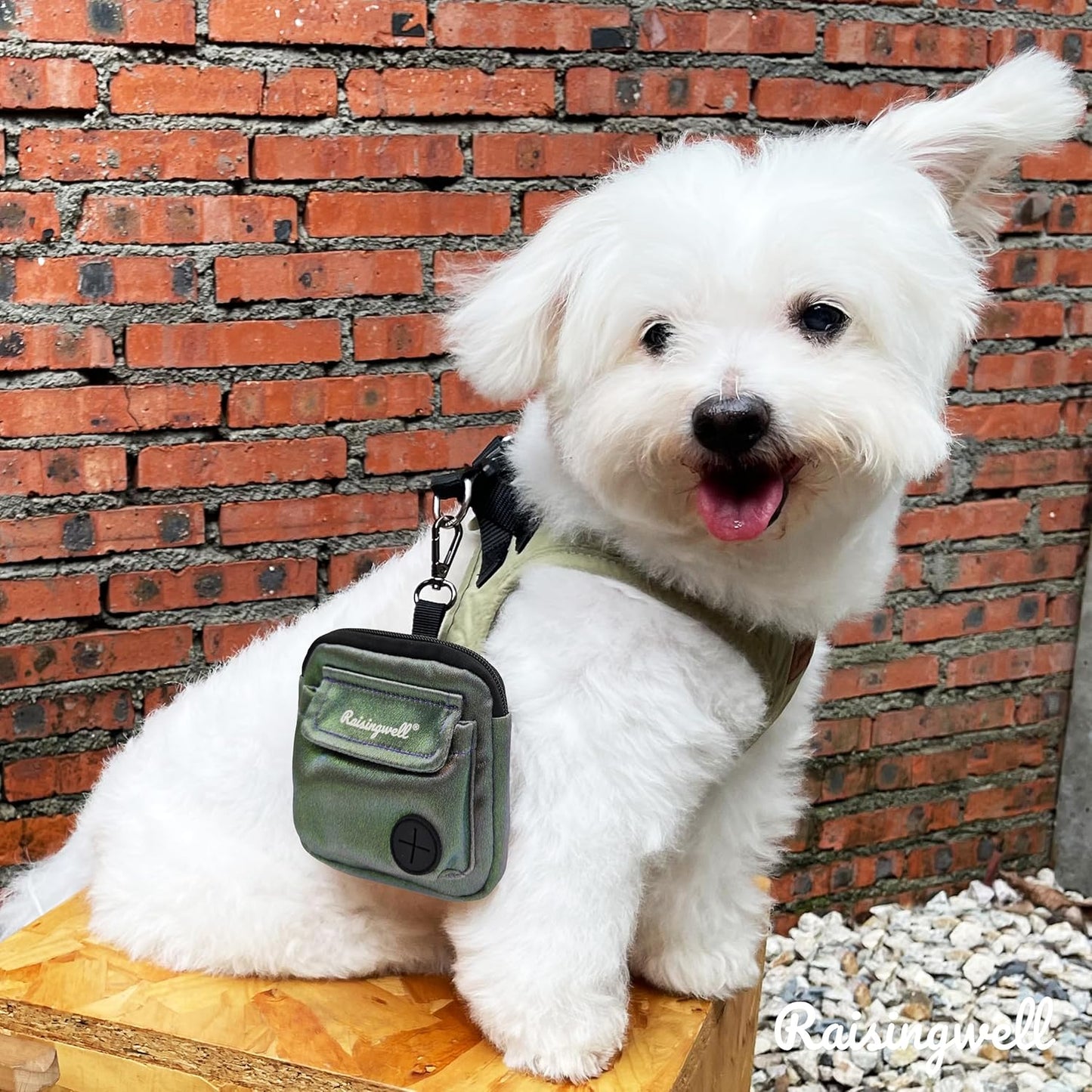 Dog Treat Pouch for Pet Walking and Training with Clicker Poop Bags and Double Bag Design Small Fanny Zipper Pack Holder for Puppy Snack Dispenser Kit for Leash and Outdoor Use (NM-Green)