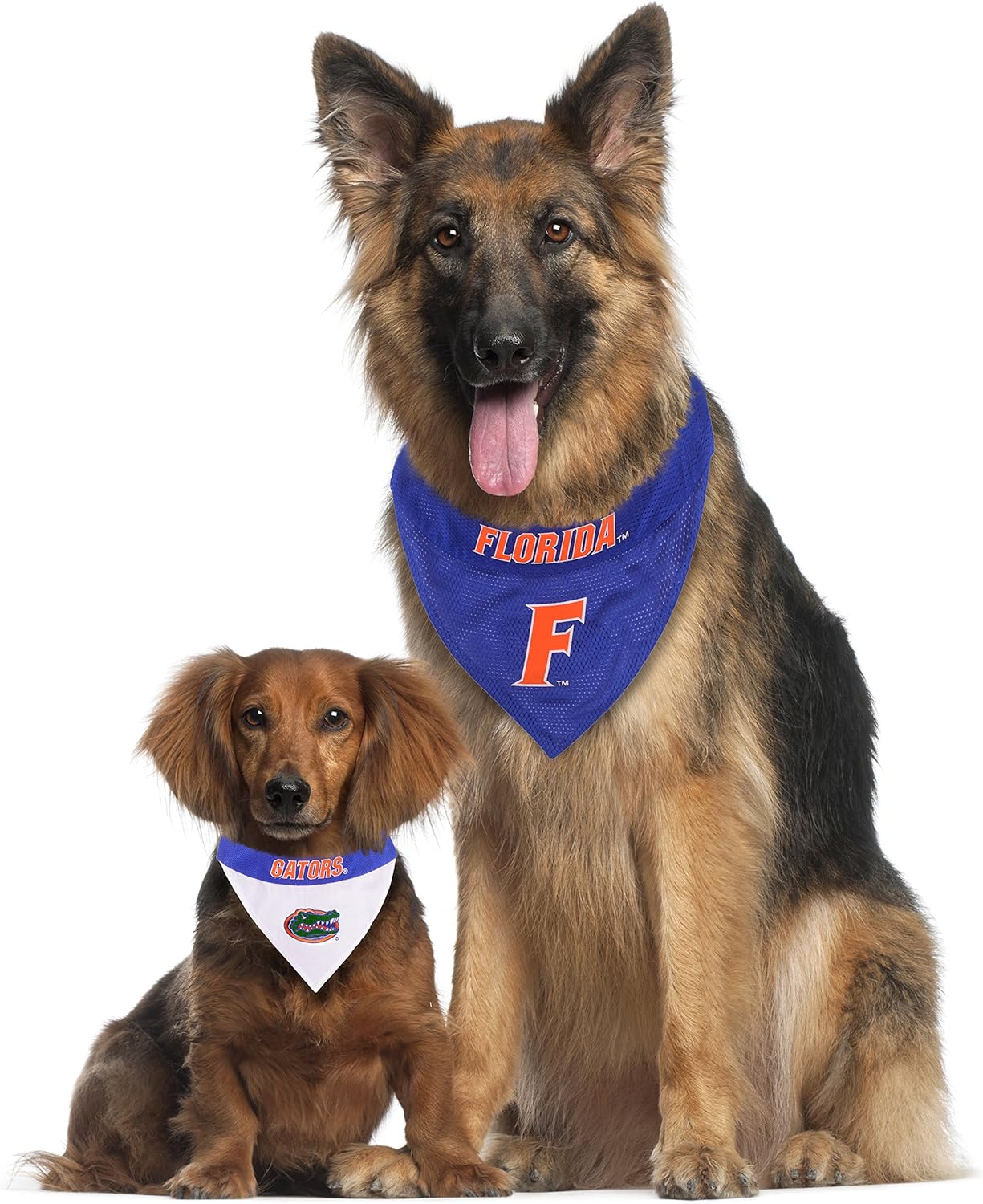 Pets First Collegiate Pet Accessories, Reversible Bandana, Florida Gators, Large/X-Large