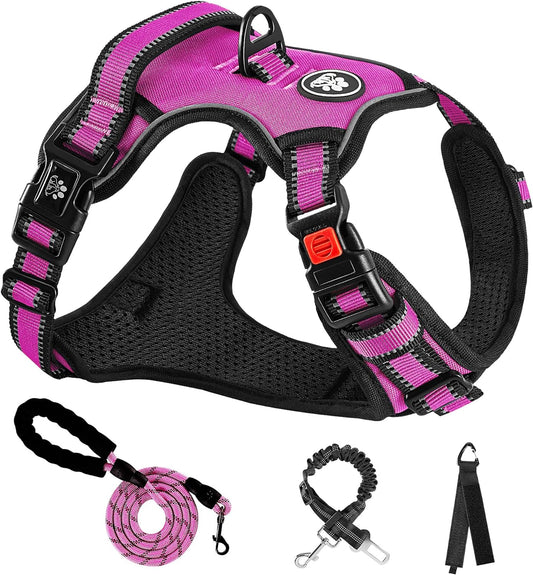 NESTROAD No Pull Dog Harness,Adjustable Oxford Dog Vest Harness with Leash,Reflective No-Choke Pet Harness with Easy Control Soft Handle for Small Medium Dogs(Medium,Fuchsia Pink)