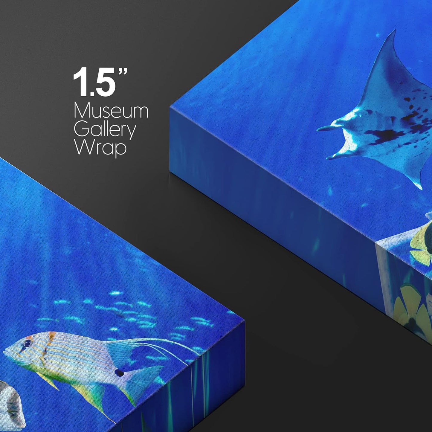 wall26 Canvas Print Wall Art Vibrant Sunlight Ray Ocean Shark Fish Reef Nature Animals Photography Realism Rustic Scenic Landscape Wilderness Earth for Living Room, Bedroom, Office - 16"x24"