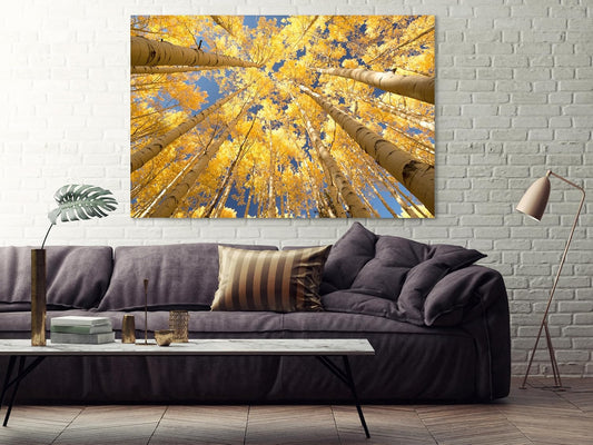 Nature Wall Art Prints - Ocean Forest Mountain Lake Canvas Landscapes - Small to Extra Large Living Room Bedroom Kitchen Bathroom Décor (Reaching for the Sky, 31L" x 47W")