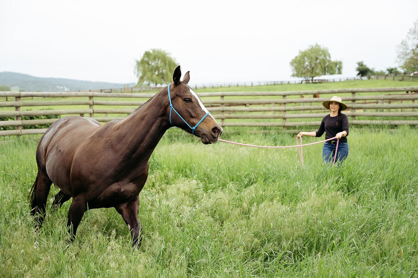 22' Long Line with SS O Ring and Carabiner (Purple)