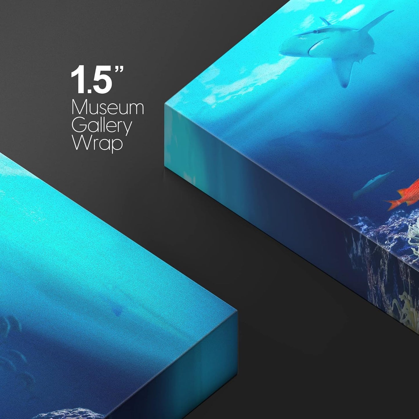 wall26 Canvas Print Wall Art Shining Sunlight Coral Reef Shark & Fish Nature Animals Photography Realism Rustic Scenic Landscape Wilderness Earth Colorful for Living Room, Bedroom, Office - 32"x48"