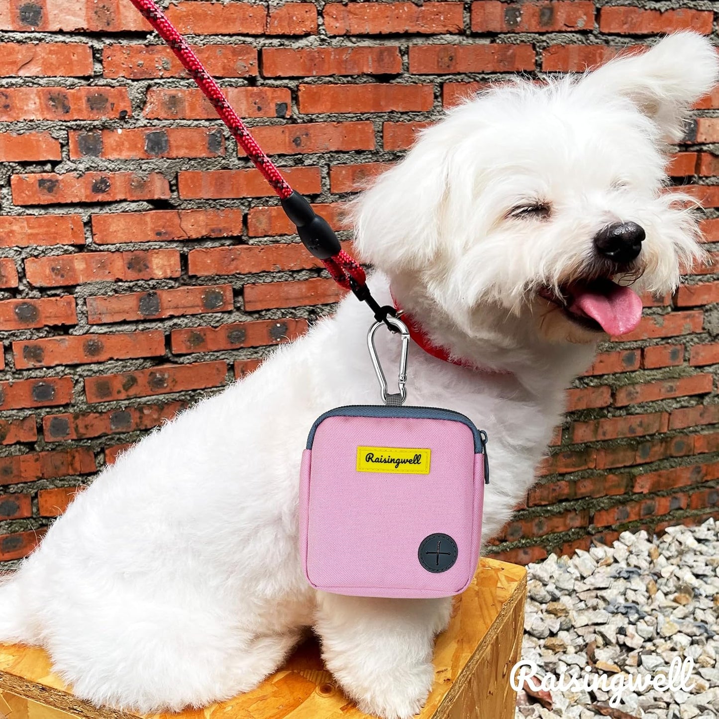 Dog Treat Pouch for Pet Walking and Training with Clicker Poop Bags Small Fanny Zipper Pack Holder for Puppy Snack Dispenser Kit for Leash and Outdoor Use (Pink)