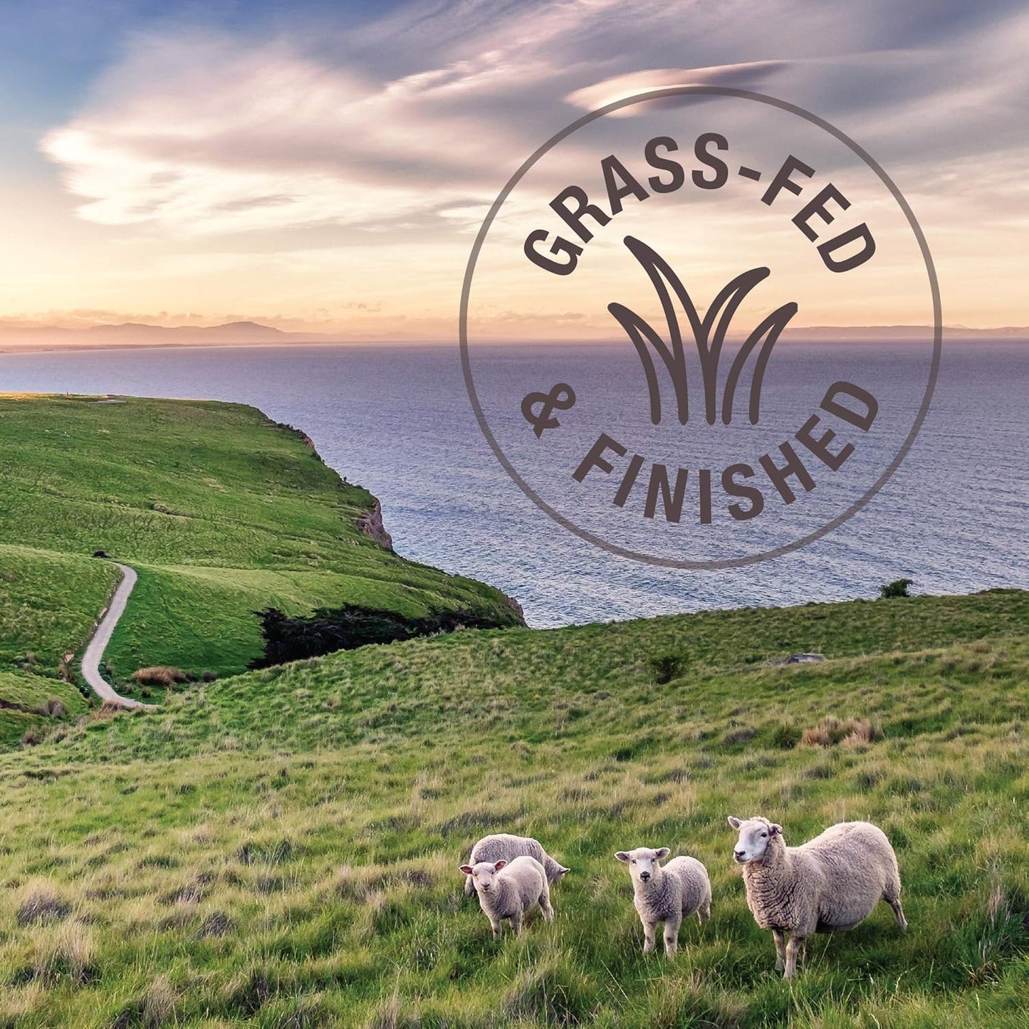 K9 Natural - Grain Free Freeze Dried Dog Food - Hoki & Beef, 17.6oz